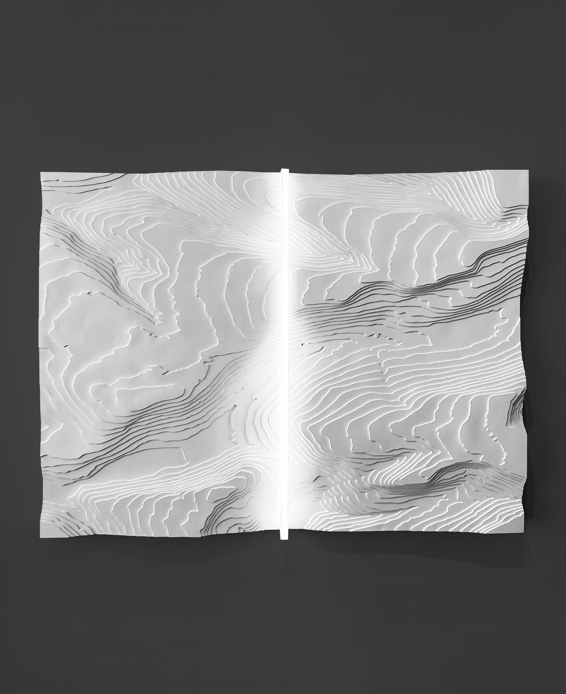 Topographies by Mareo Rodriguez