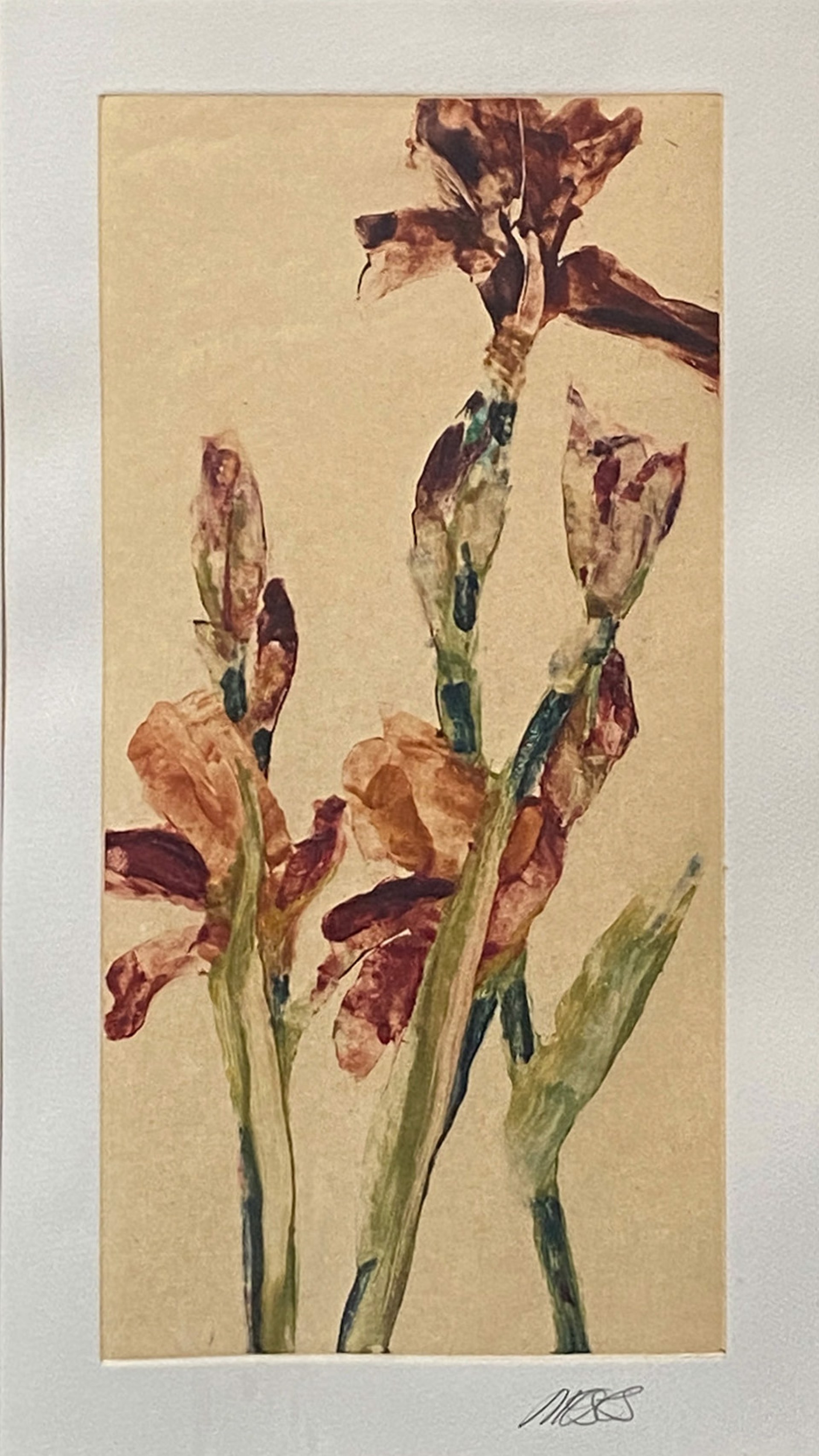 Untitled Irises by Forrest Moses
