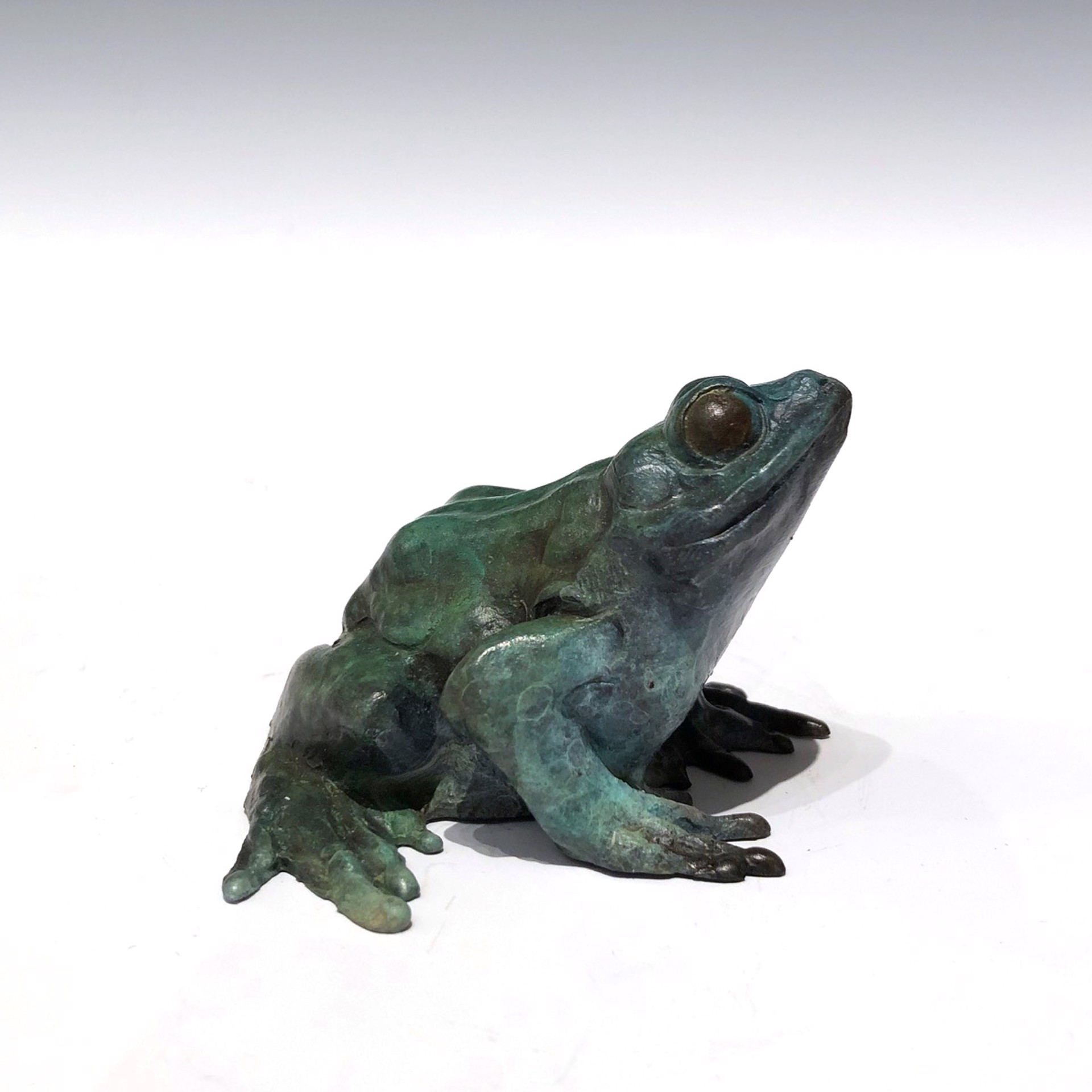Sitting Frog by Dan Chen