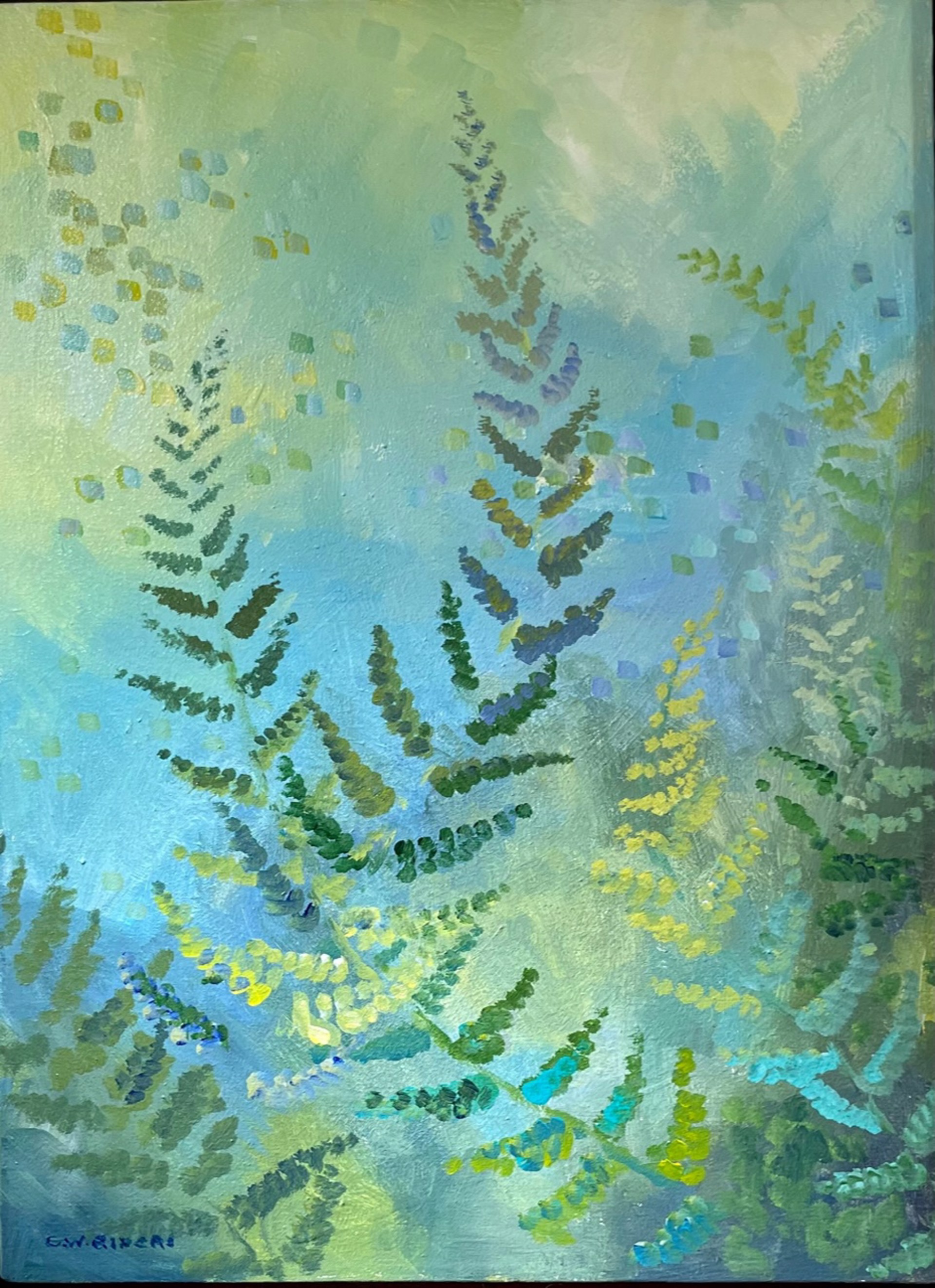Ferns by Carroll W. Rivers