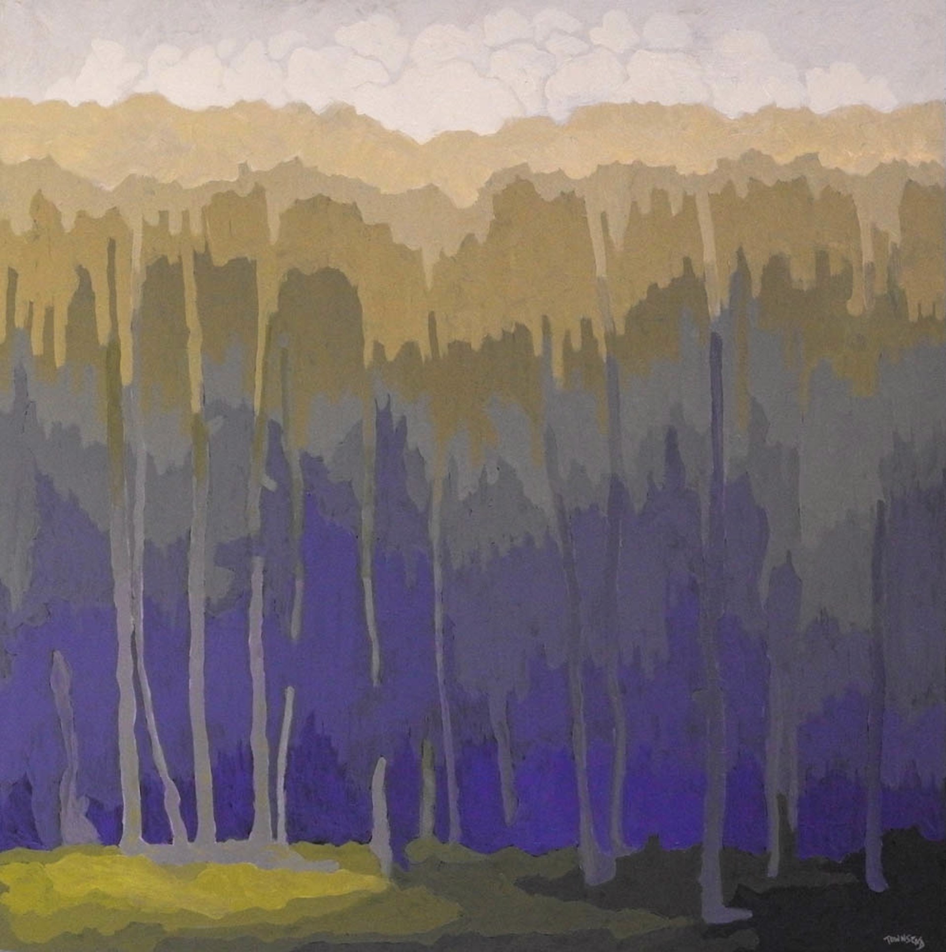 Spectrum Forest by John Townsend