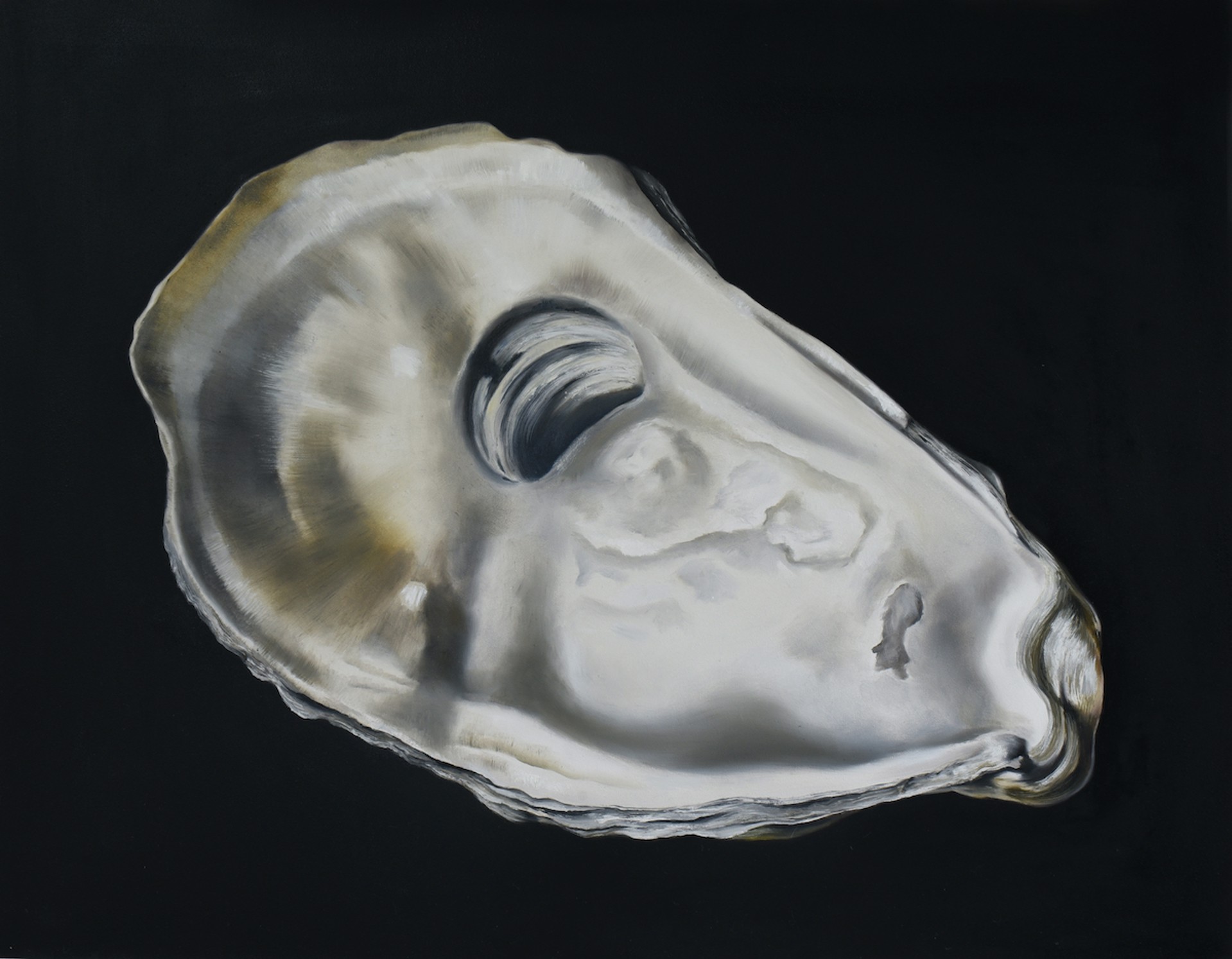 Oyster 8 by Renee Levin