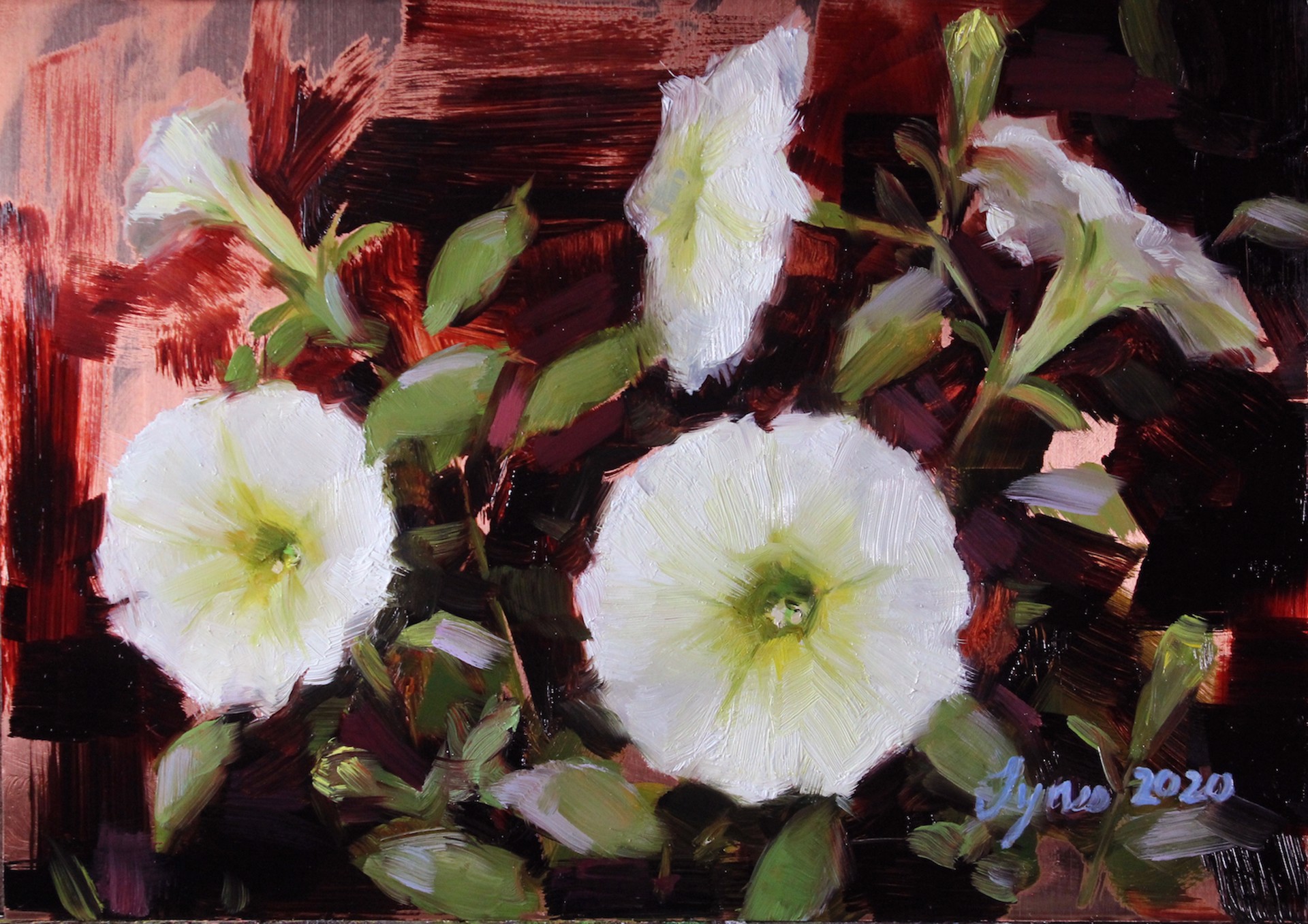 White Petunias by Taylor Tynes