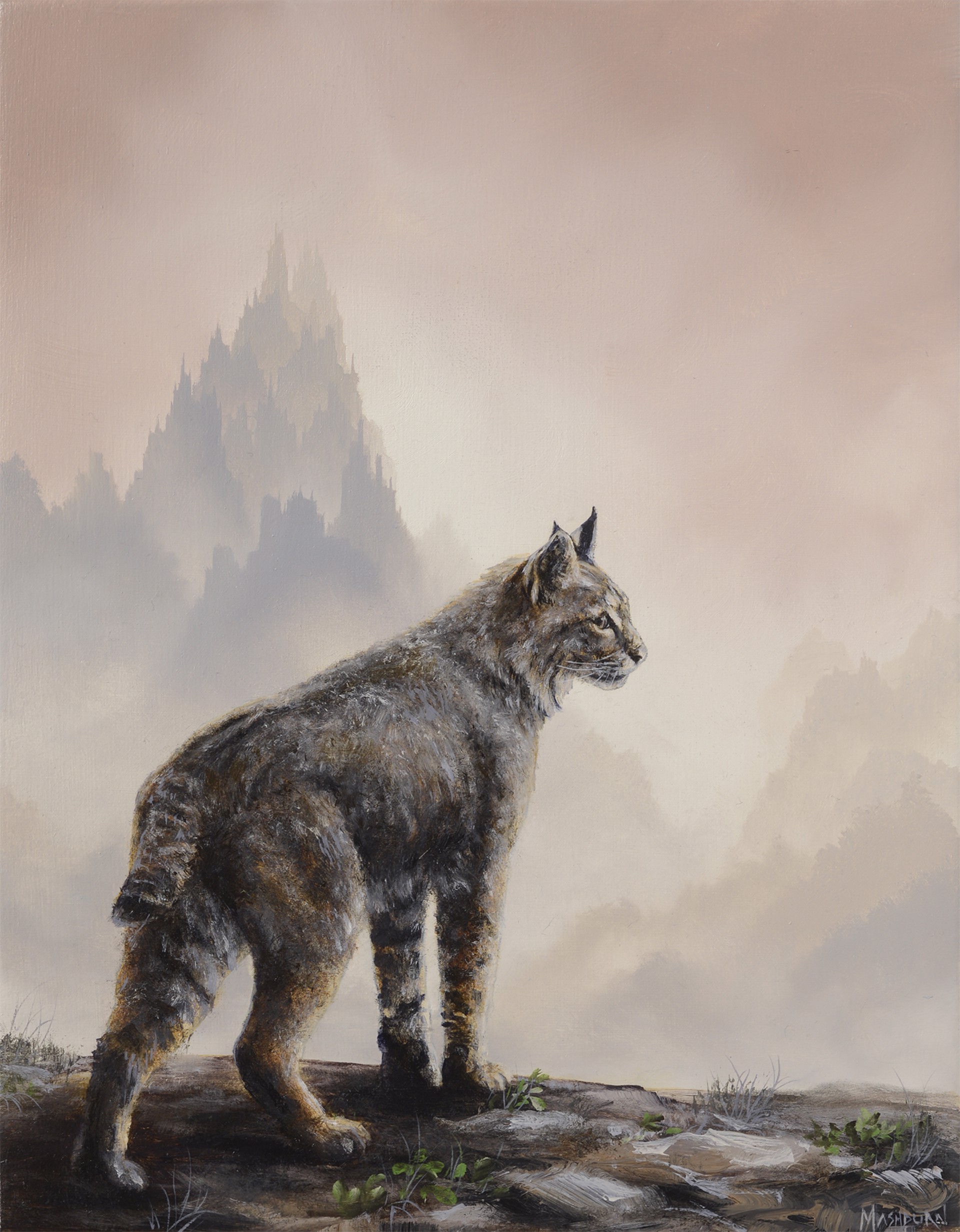 Bobcat by Brian Mashburn