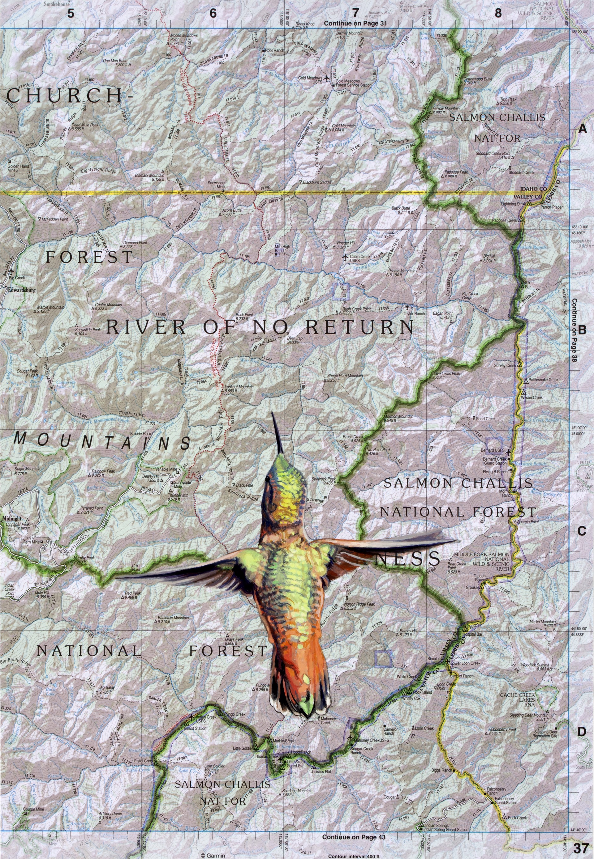 Hummingbird on Map by Diane Andrews Hall