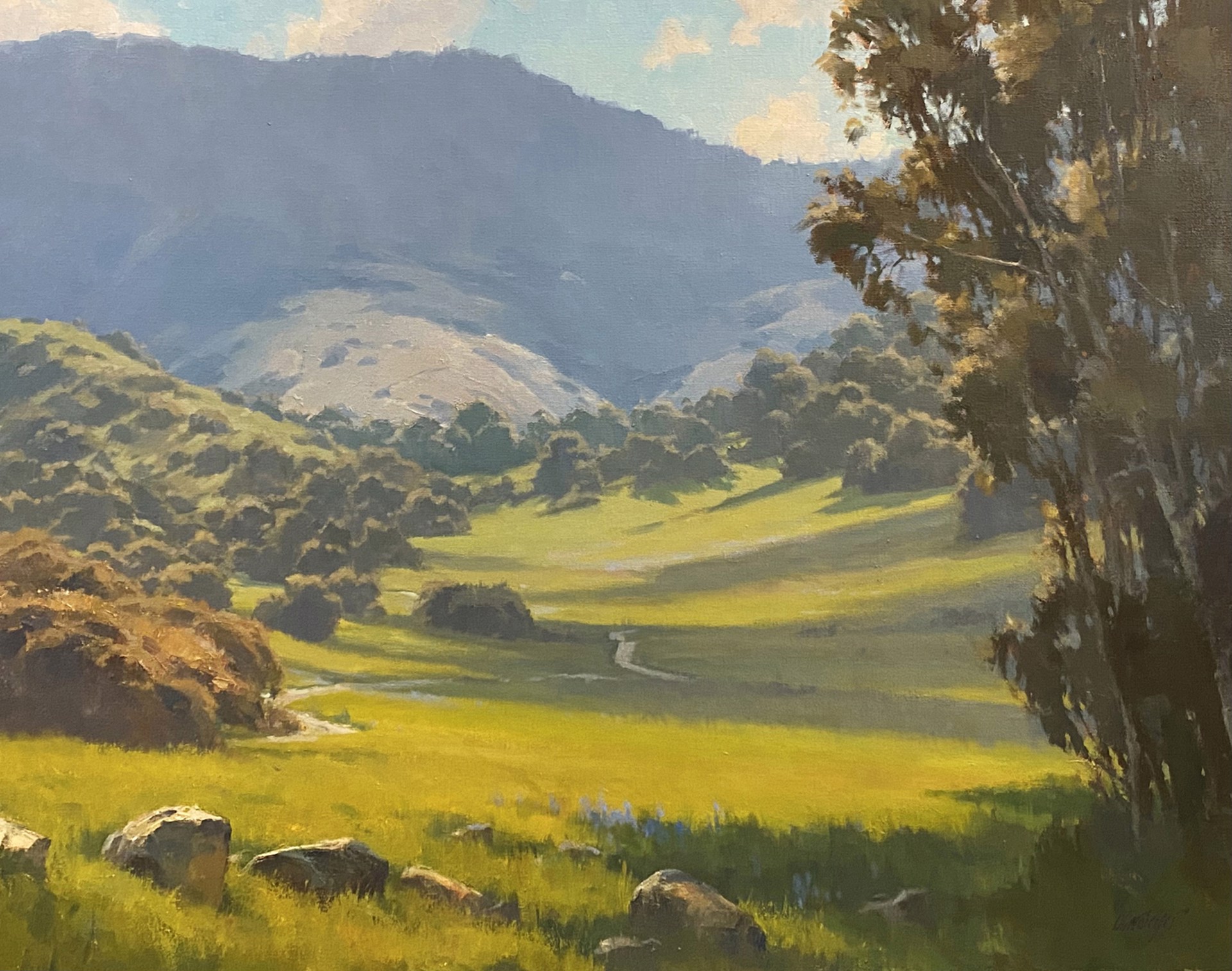 Rolling Meadow Ojai by Michael Obermeyer