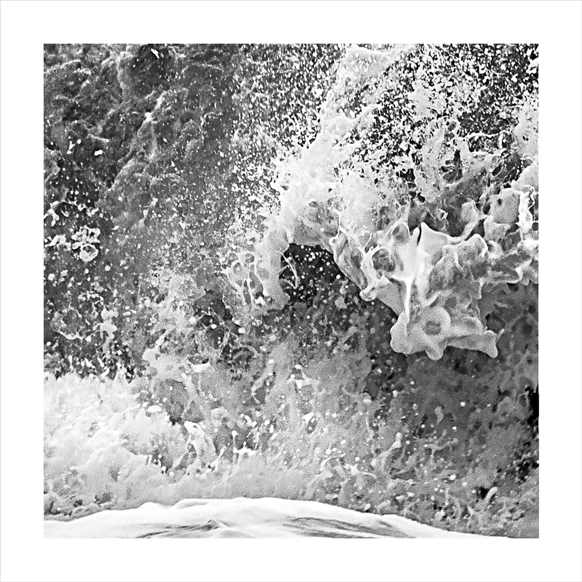 Force Of Nature- 5S5A7490 Crop 2  (Three inch border-white frame) by Bob Tabor