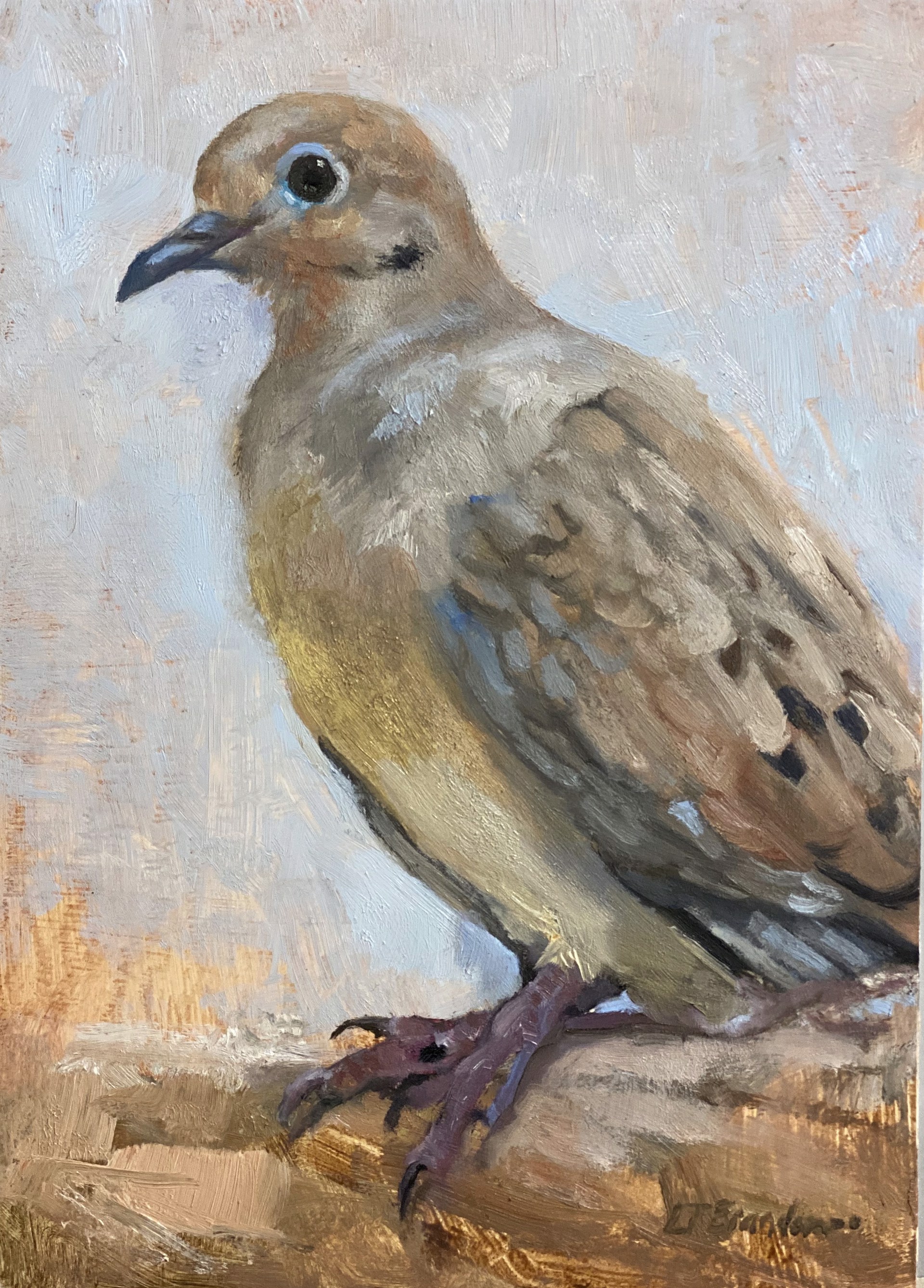 Mourning Dove by Linda Tracey Brandon