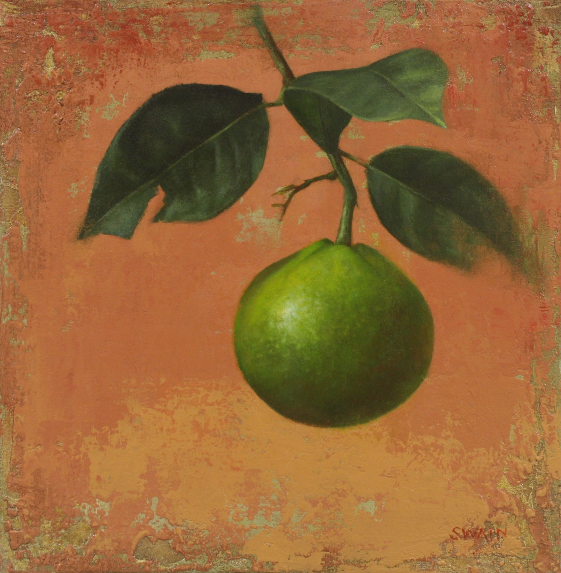 Hanging Lime by Tyler Swain