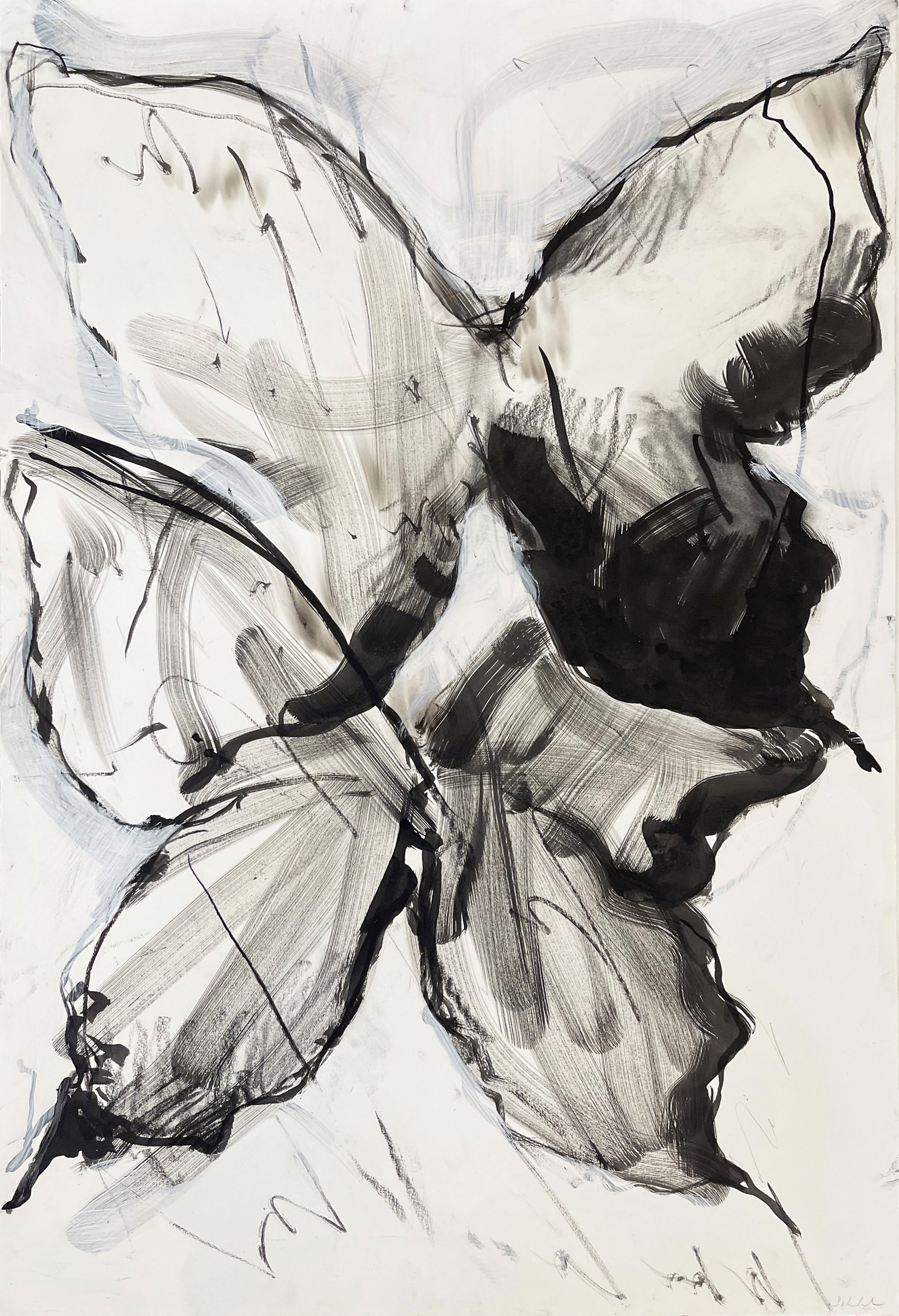 Butterfly Series by Karoline Schleh