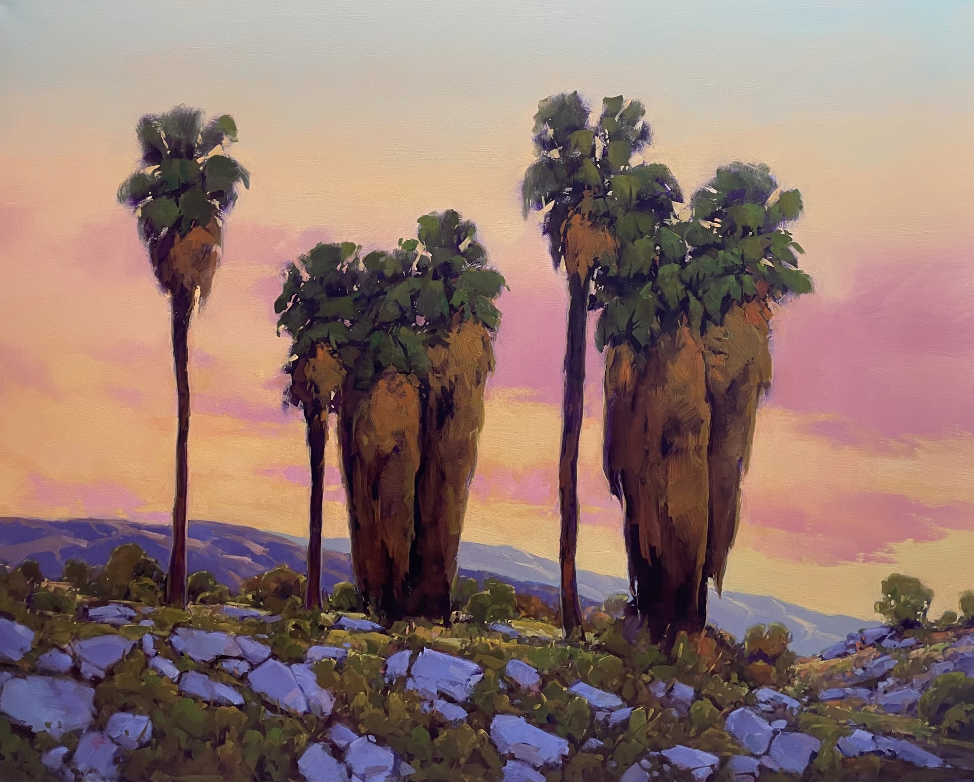 Quiet Desert Dusk by Gregory Stocks