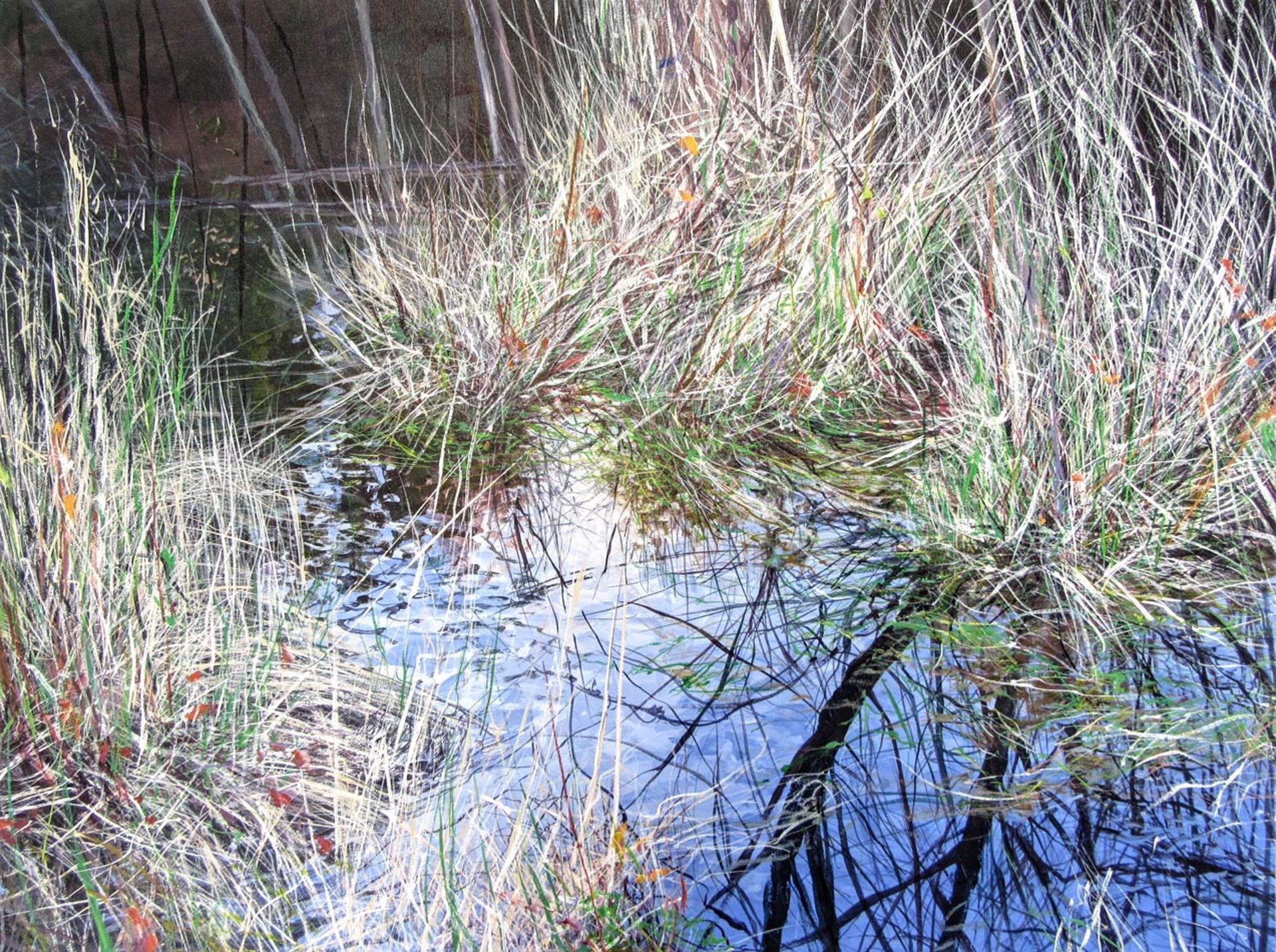 Grasses by Angelita Surmon