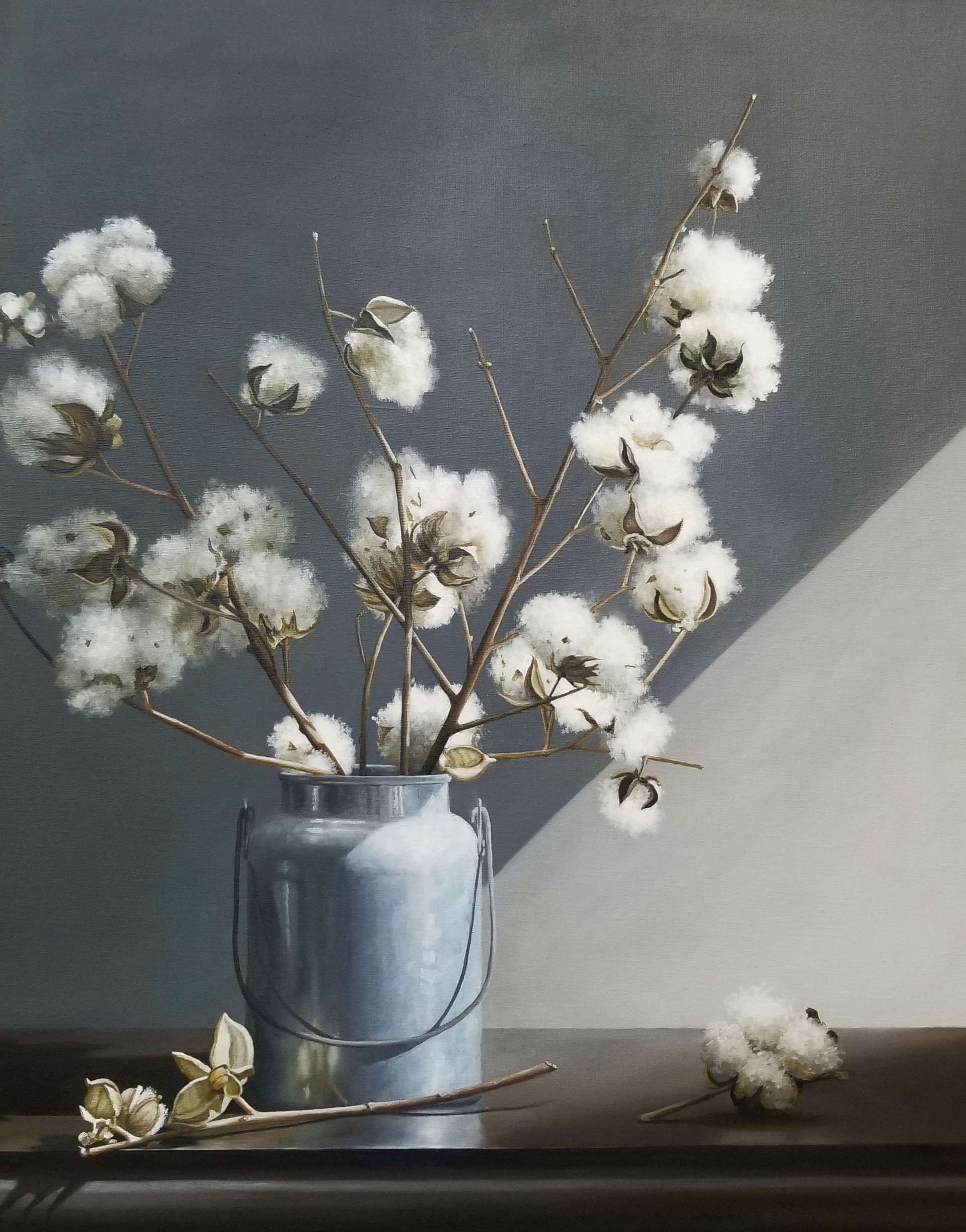 Stems of Cotton by Loren DiBenedetto, OPA