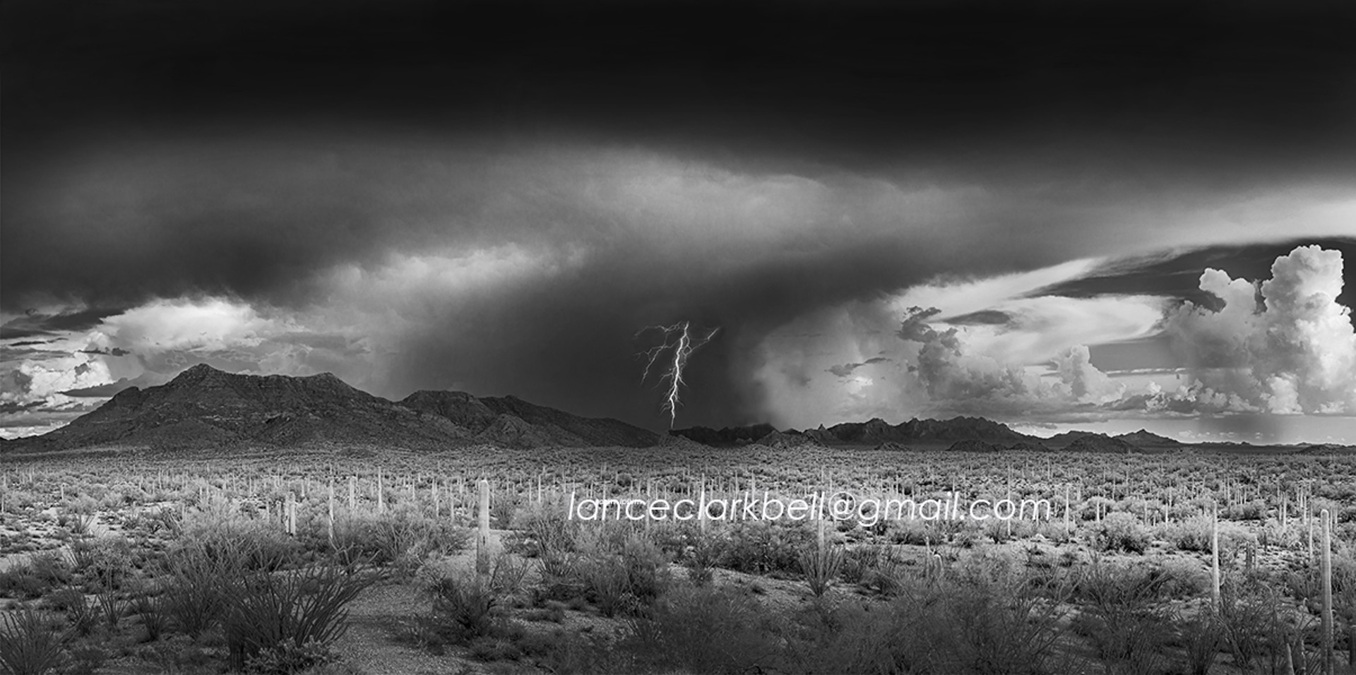 Monsoon Lightning 10 x 20 by Lance Bell