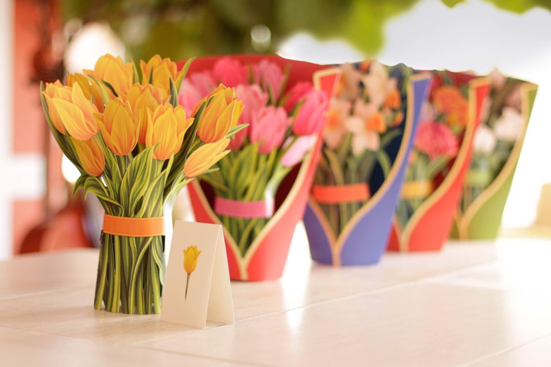 Freshcut Paper Pop Up Flowers