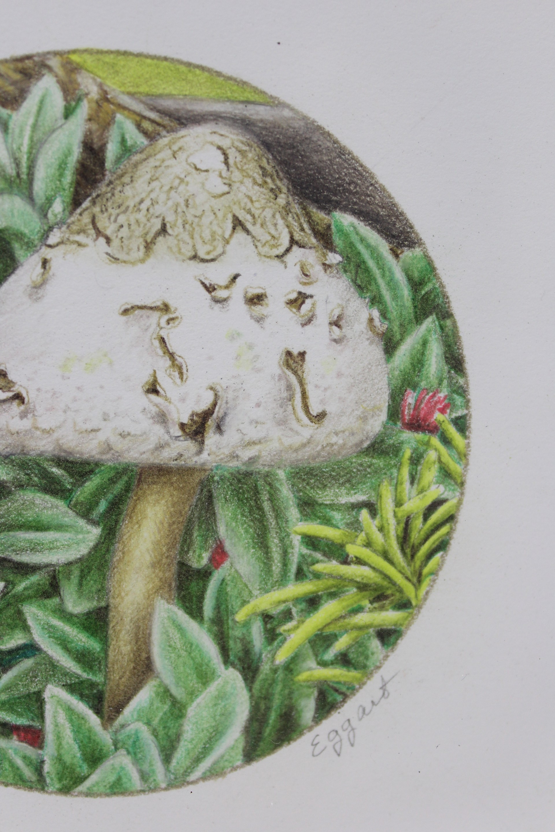 Mushroom by Mary Lee Eggart