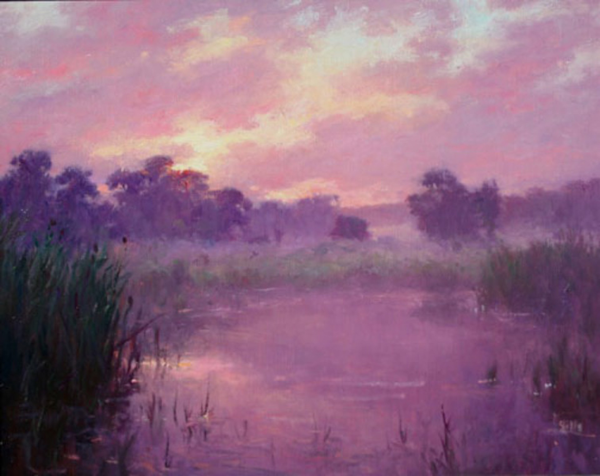 Marsh Dawn by John Brandon Sills