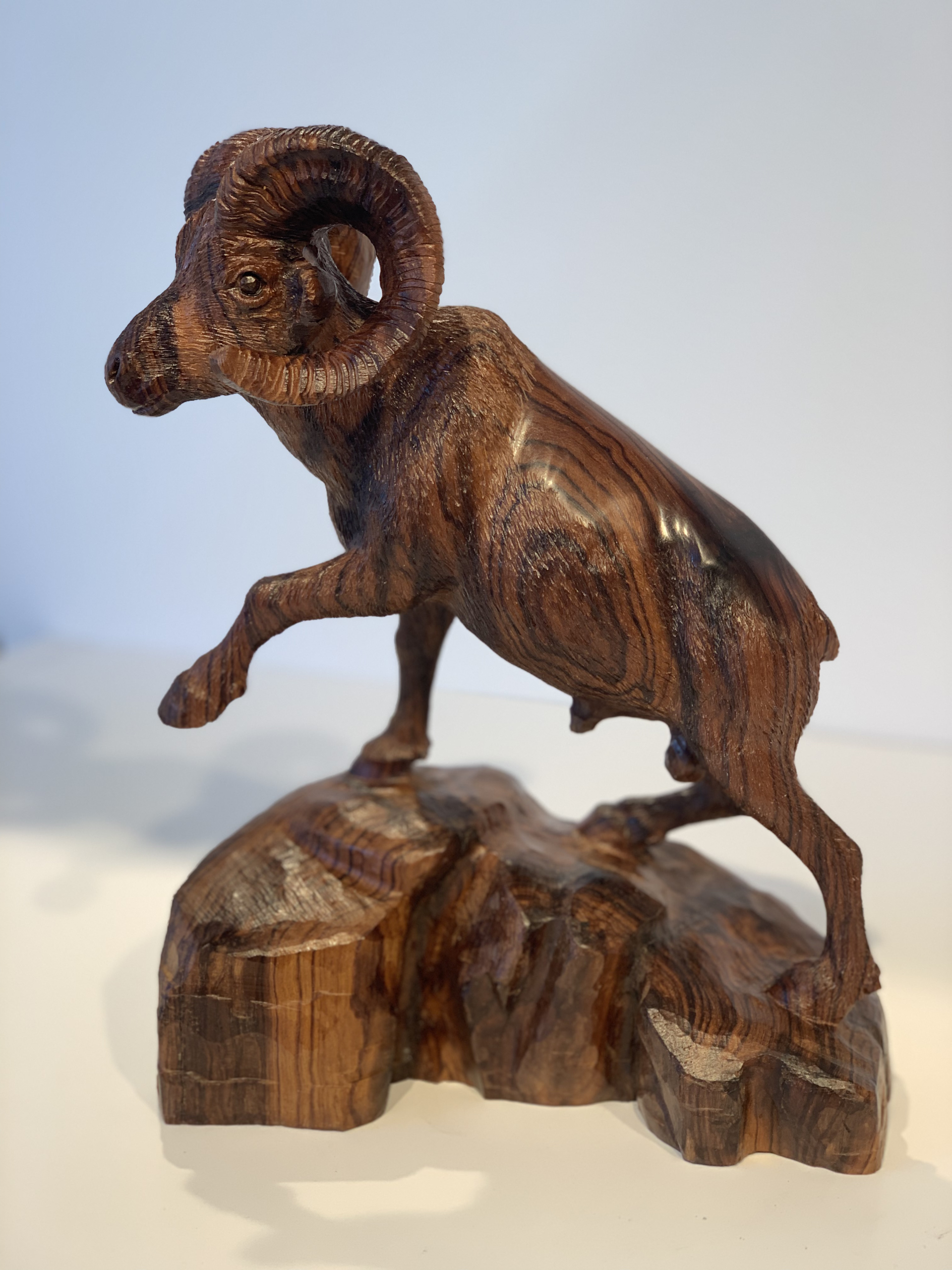 BigHorn by Thomas Suby