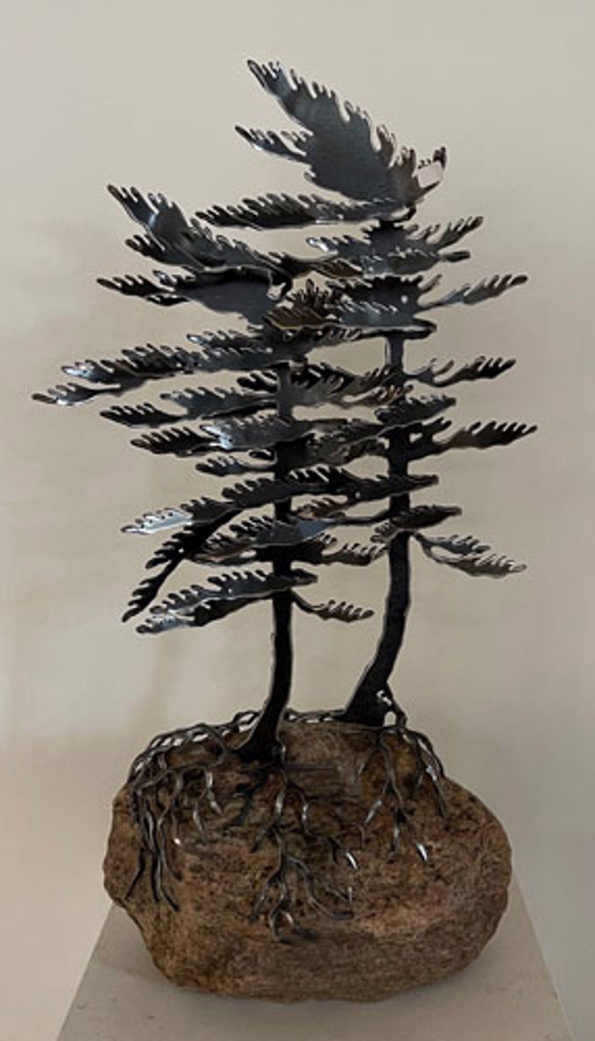 Two Windswept Pine on Granite 659359 by Cathy Mark