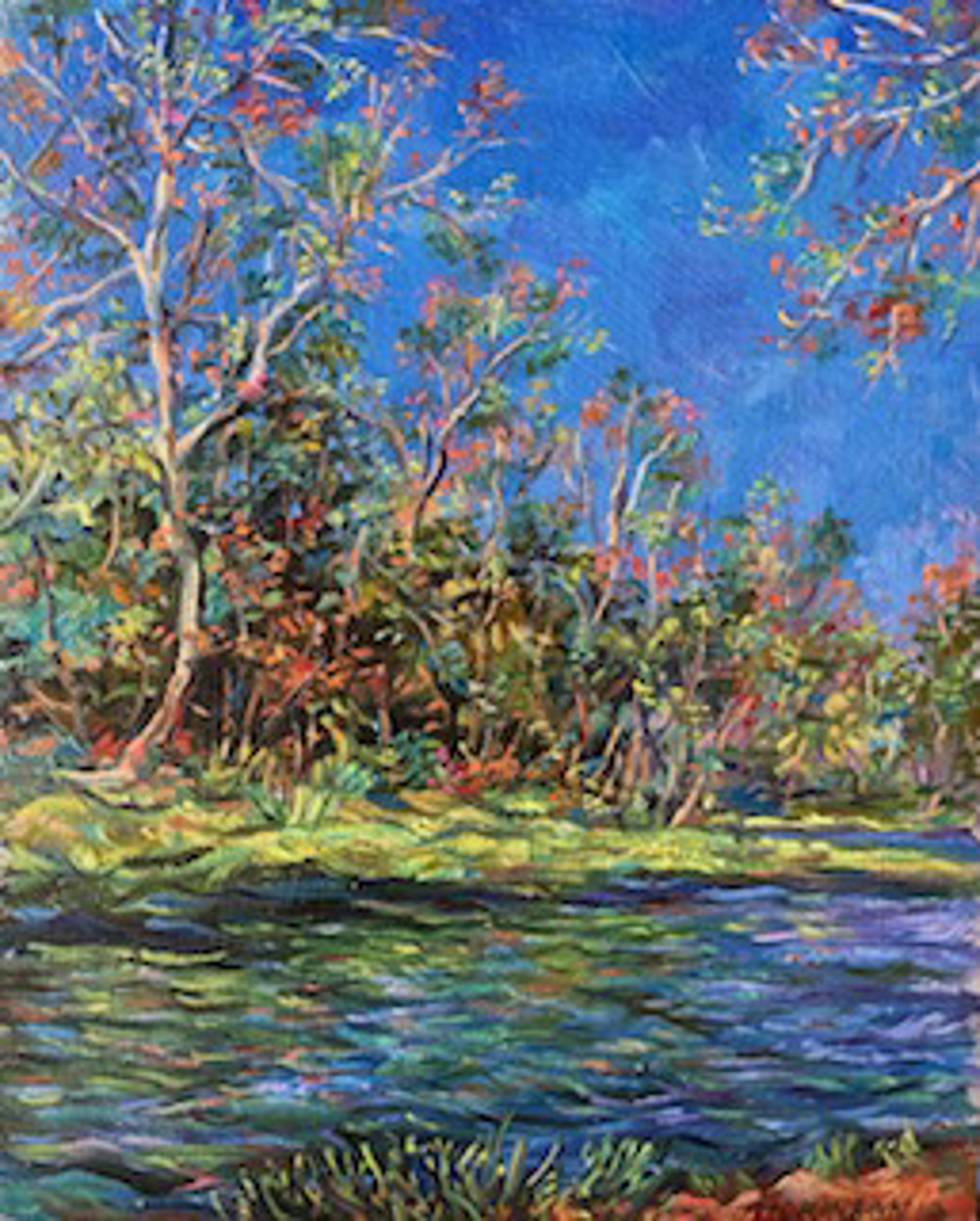 Wekiva River by Charles Dickinson