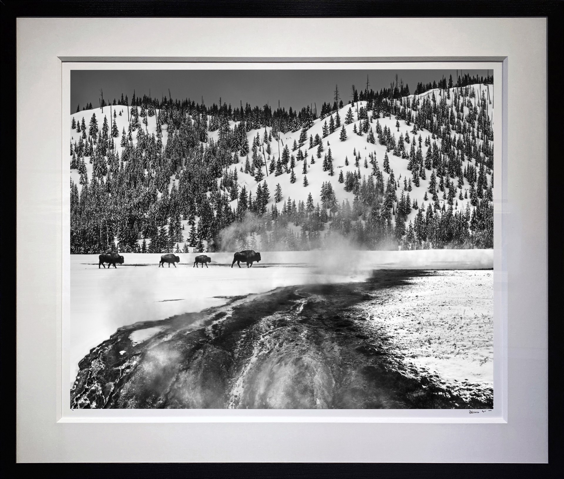 Yellowstone by David Yarrow