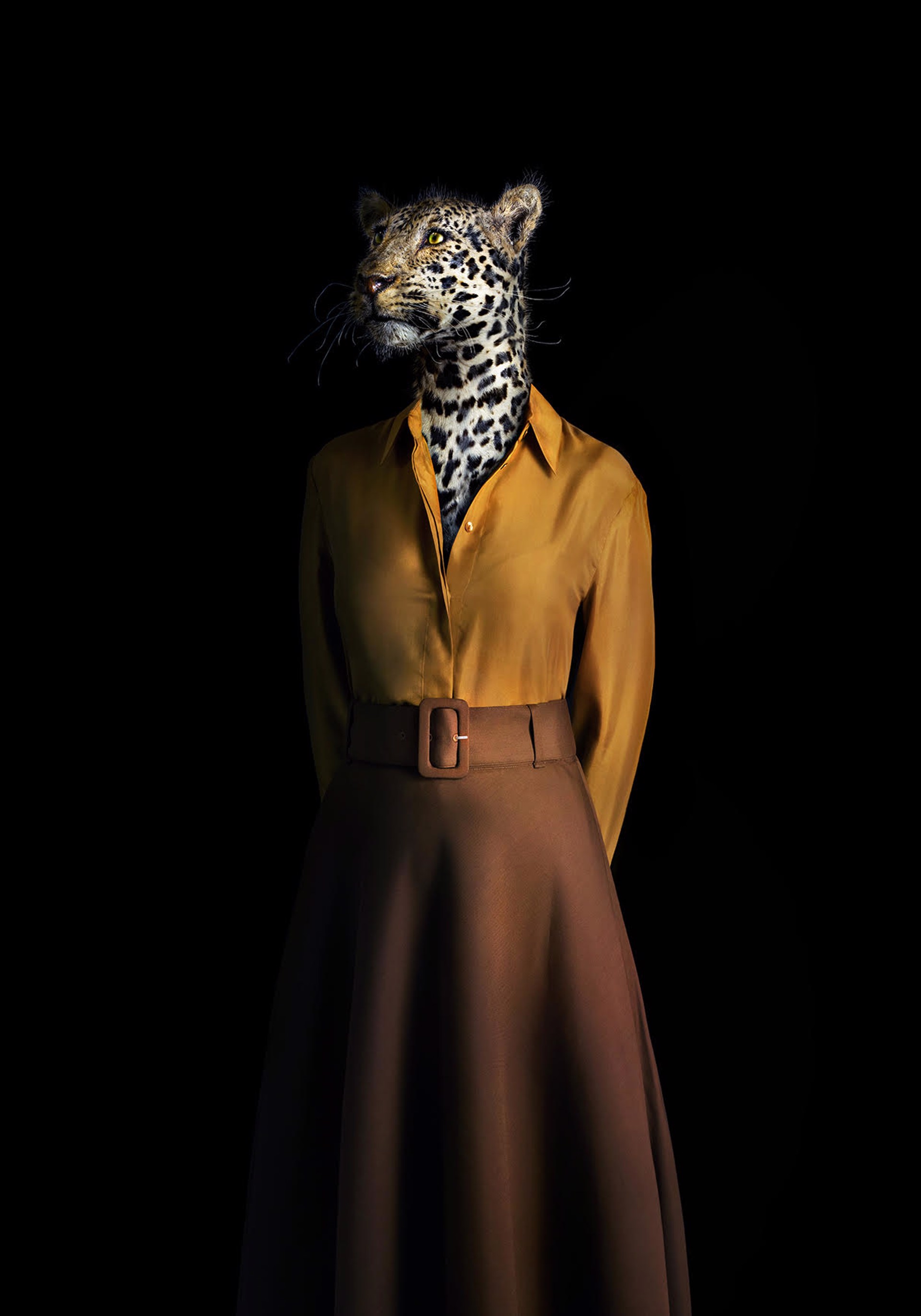 Retrato numero 90_leopard by Miguel Vallinas