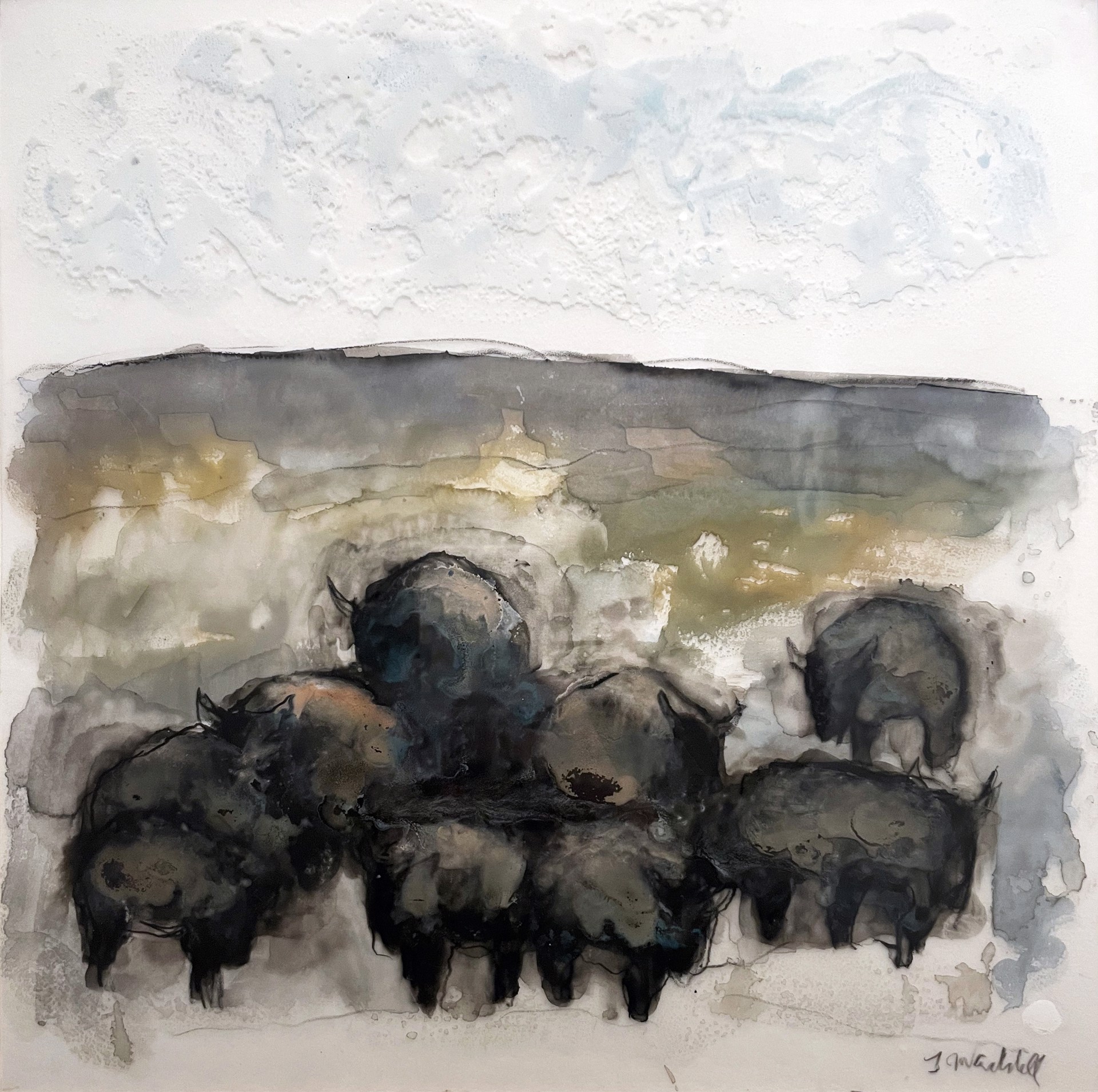 Red Rock Buffalo Drawing #1 by Theodore Waddell