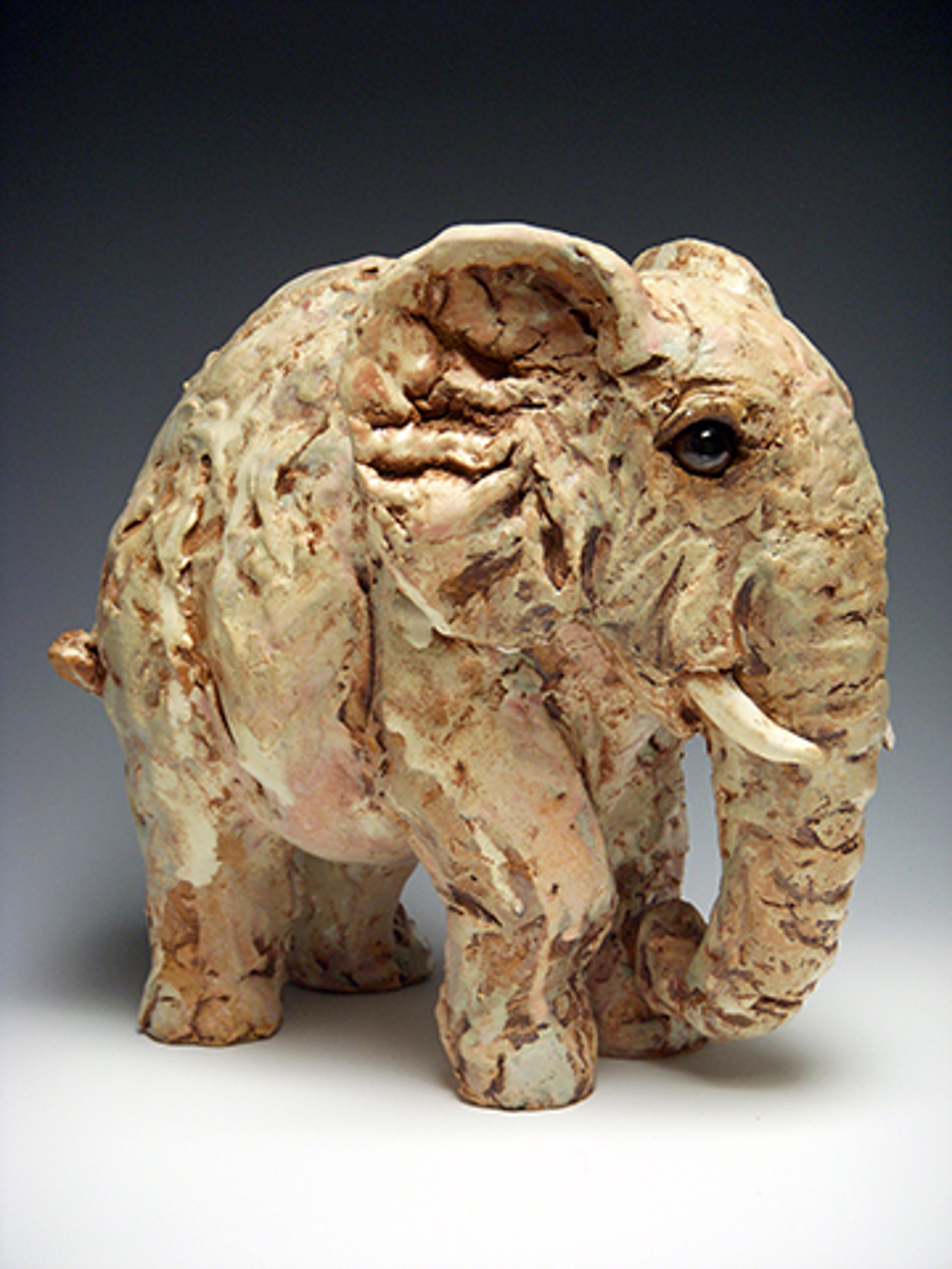Lee (Elephant) by Kari Rives