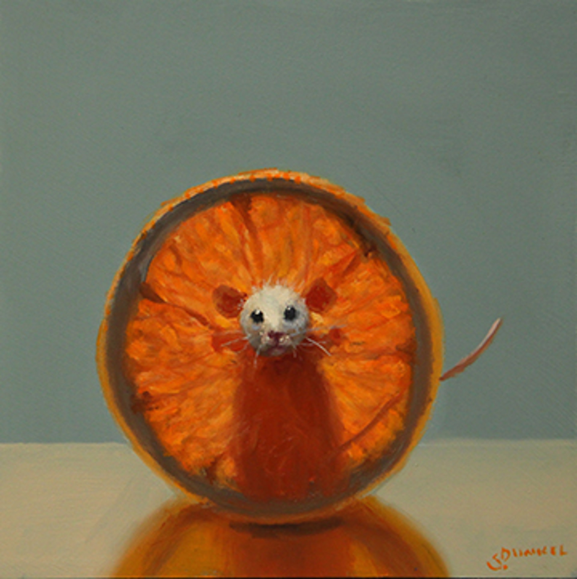 Orange X-ray by Stuart Dunkel