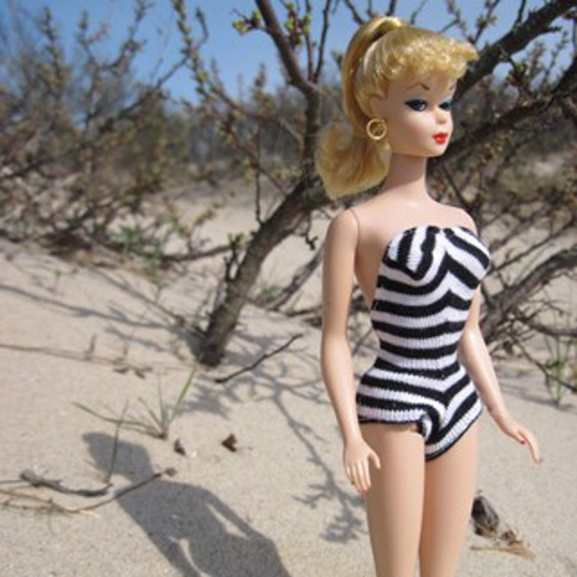 Beach Barbie Series #1 by Andrea McCafferty