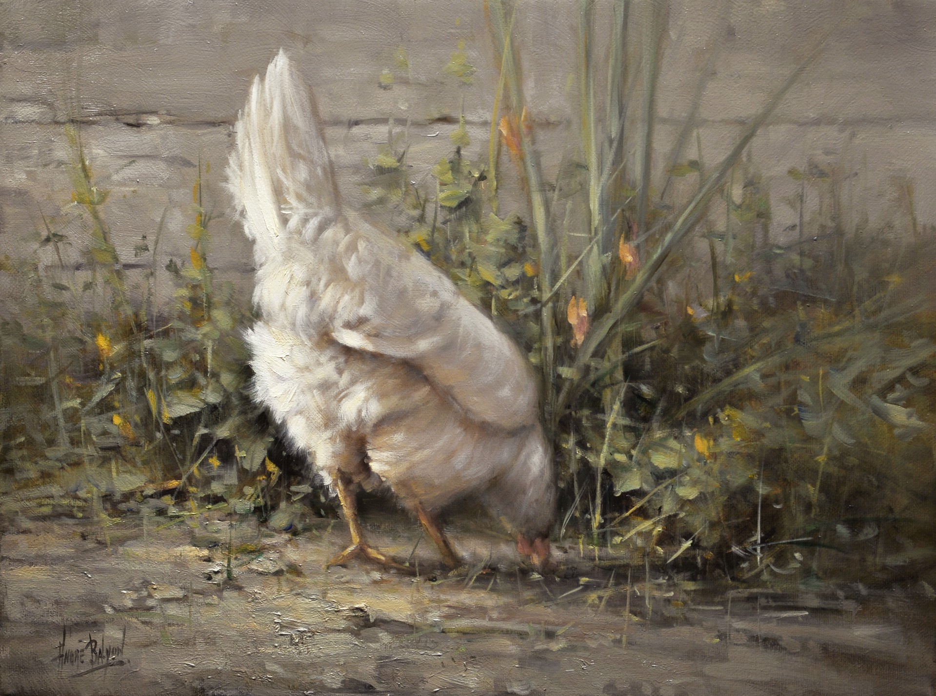 Spring Chicken by Andre Balyon