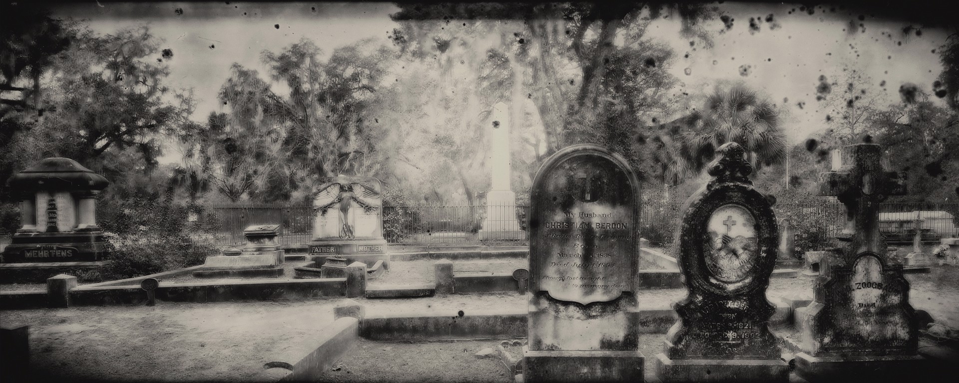 A Study of the Fragility of Life #2, Bonaventure Cemetery by Richard Austin