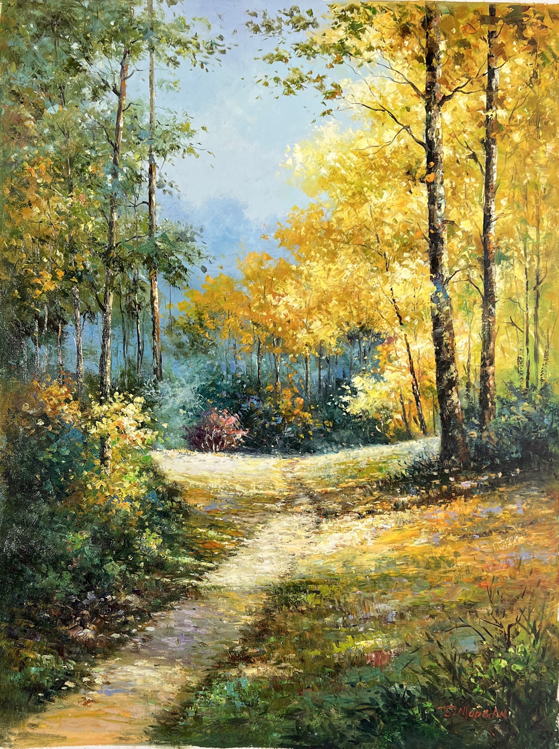 PATH THROUGH THE CLEARING by J MORGAN