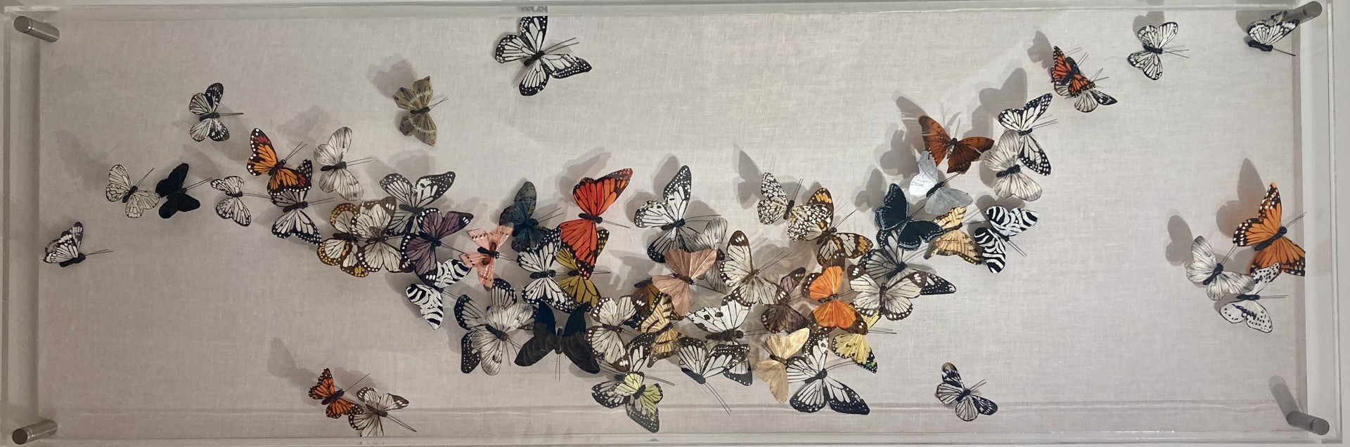 Flutter by Juan Carlos Collada
