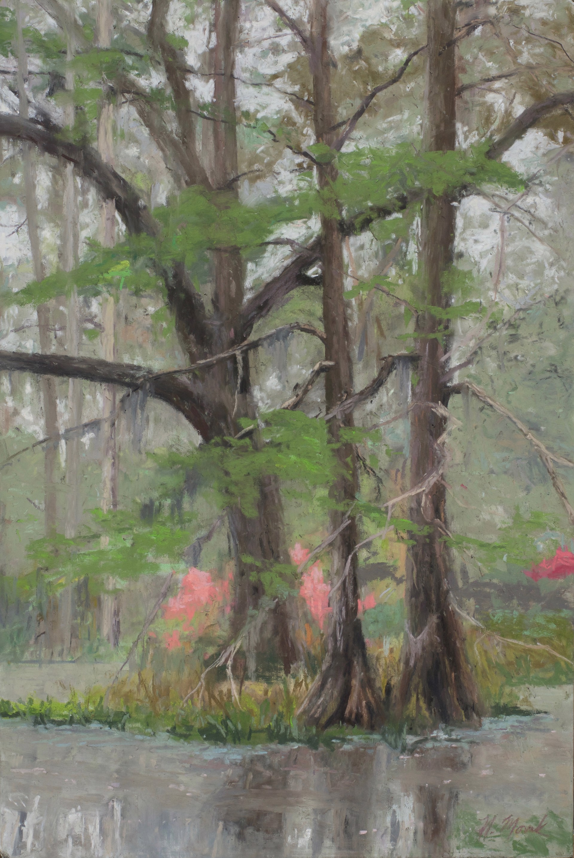 Cypress in Fog by Mary Monk