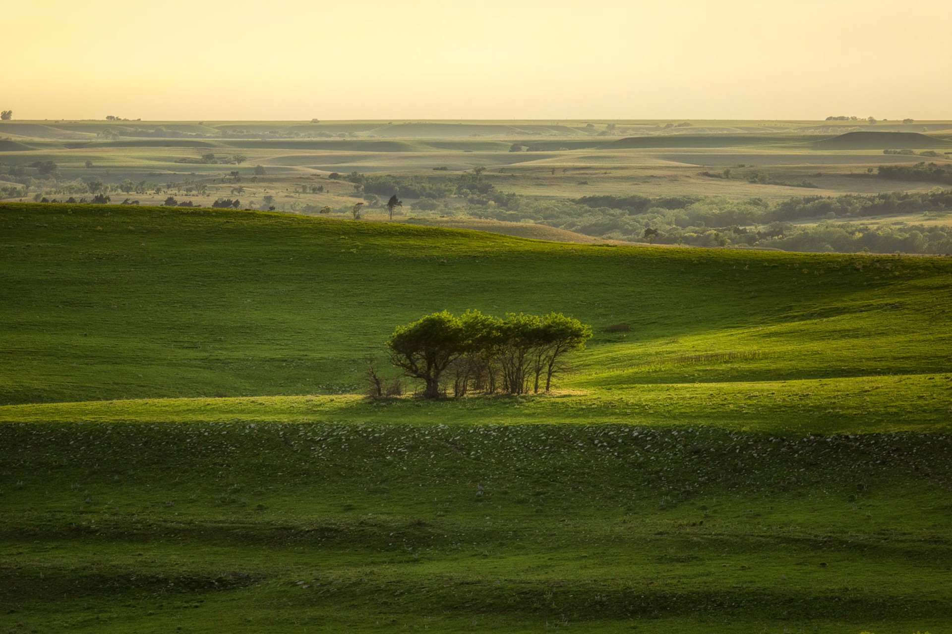 Clustered Together by Scott Bean