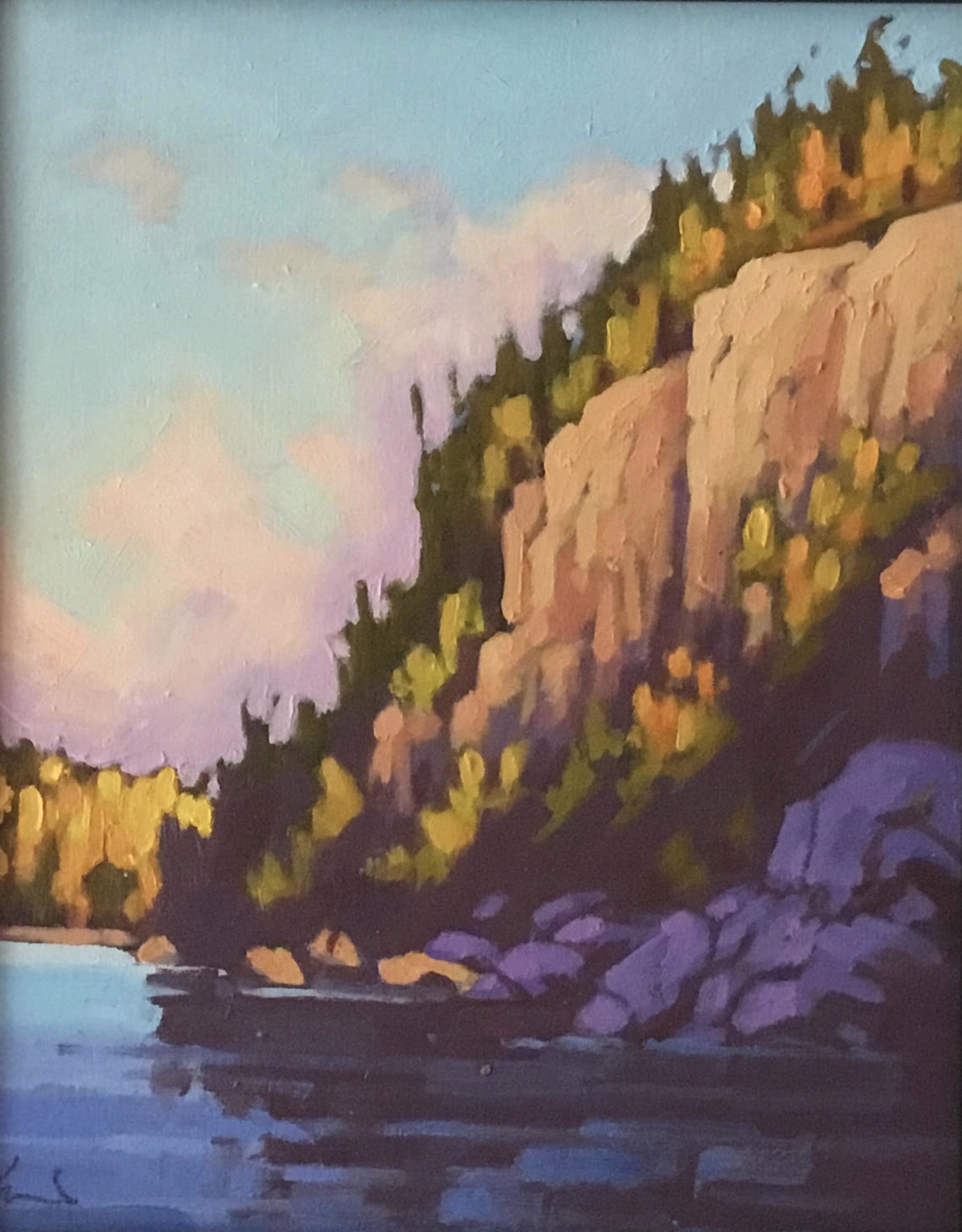 Rock Face by John Lennard