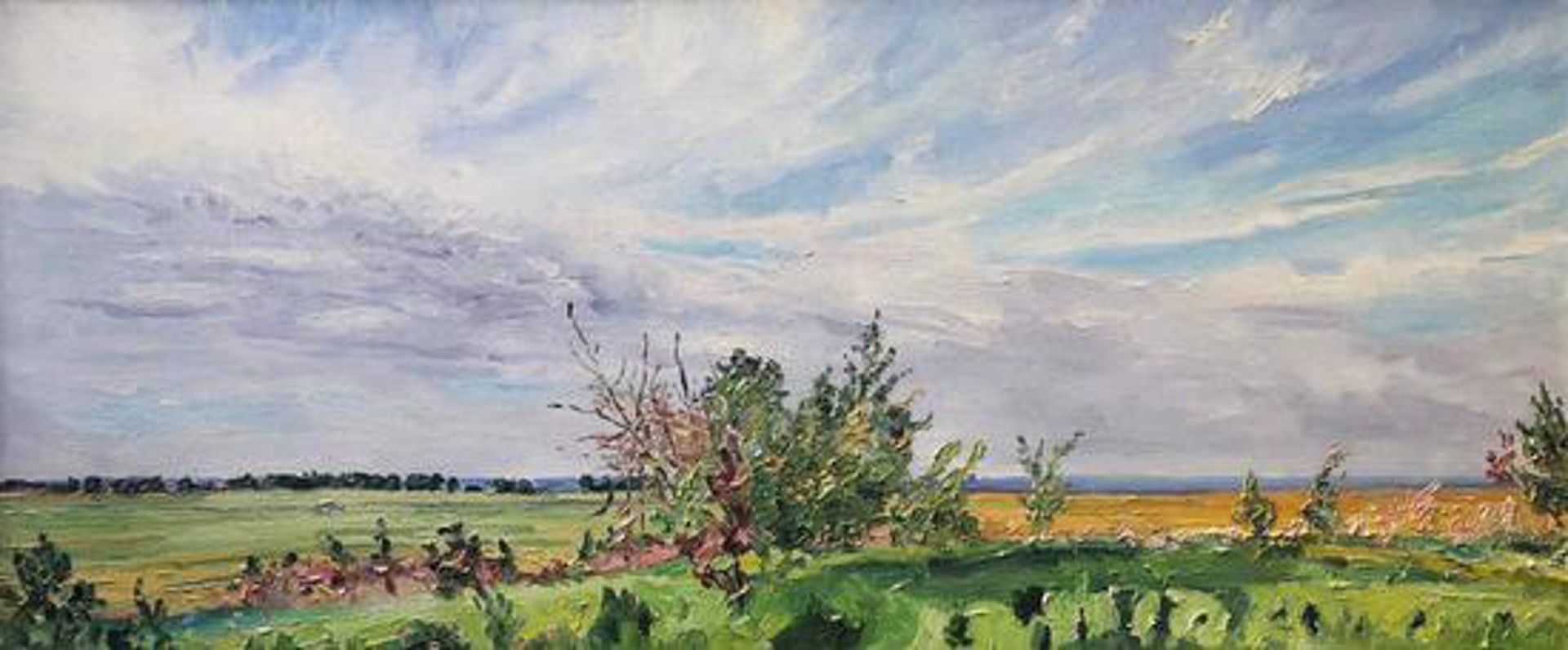 Green Bank, Yellow Field by Dorothy Knowles