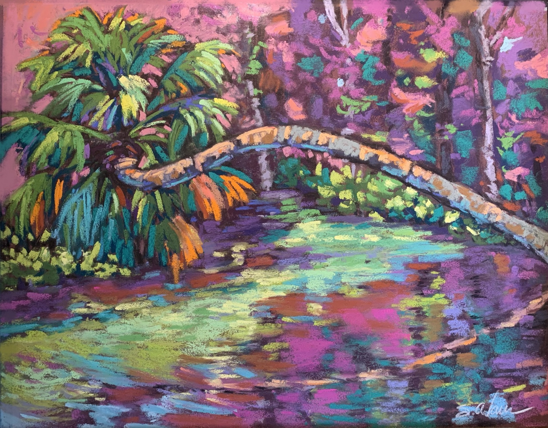 Wekiva Reflections by Sally Evans