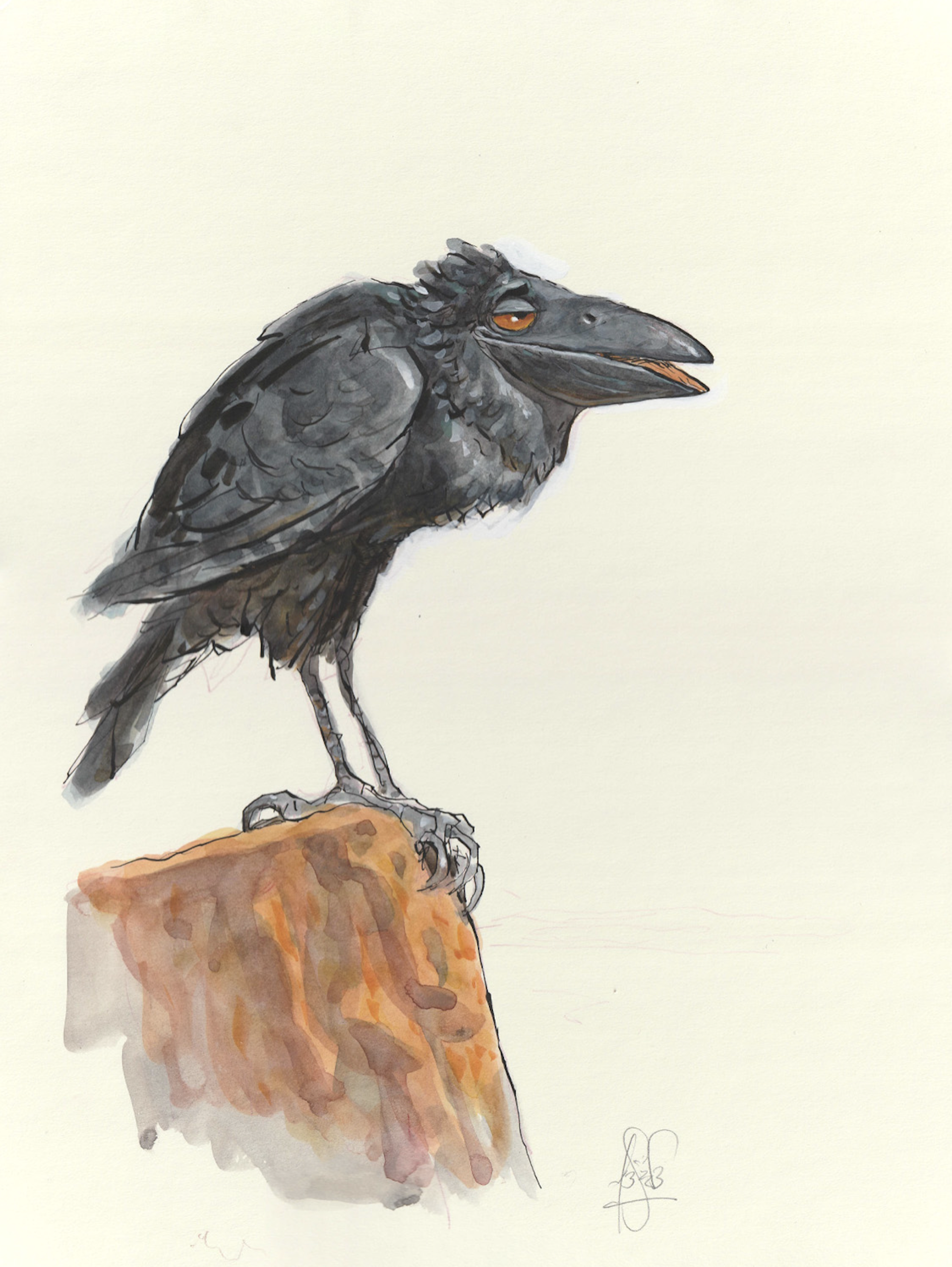 Larrikins - Raven by Peter de Sève