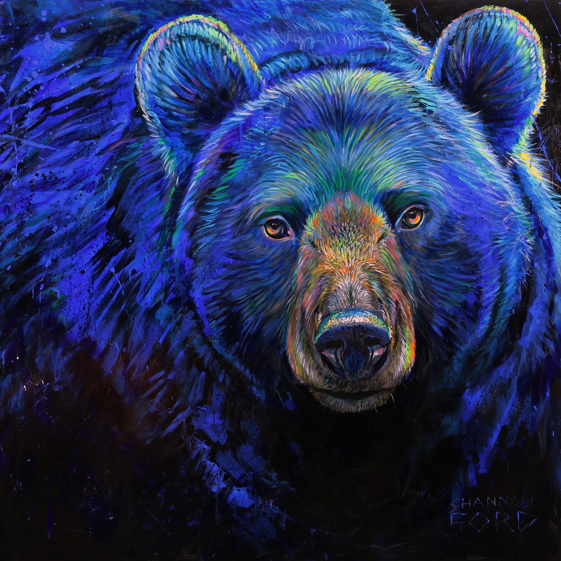 Black Bear Wonder by Shannon Ford