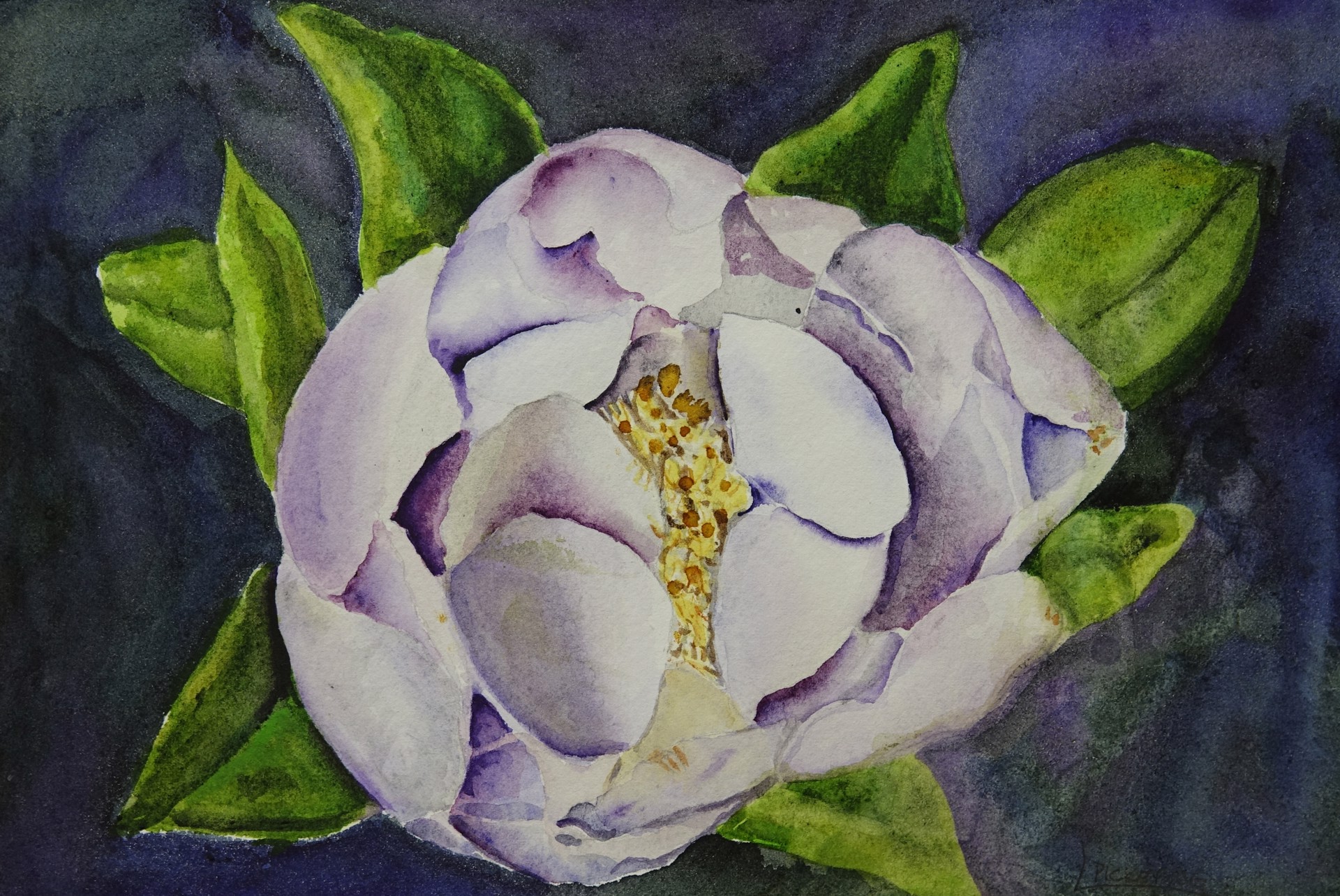 Sweet Magnolia by Laura Pickering