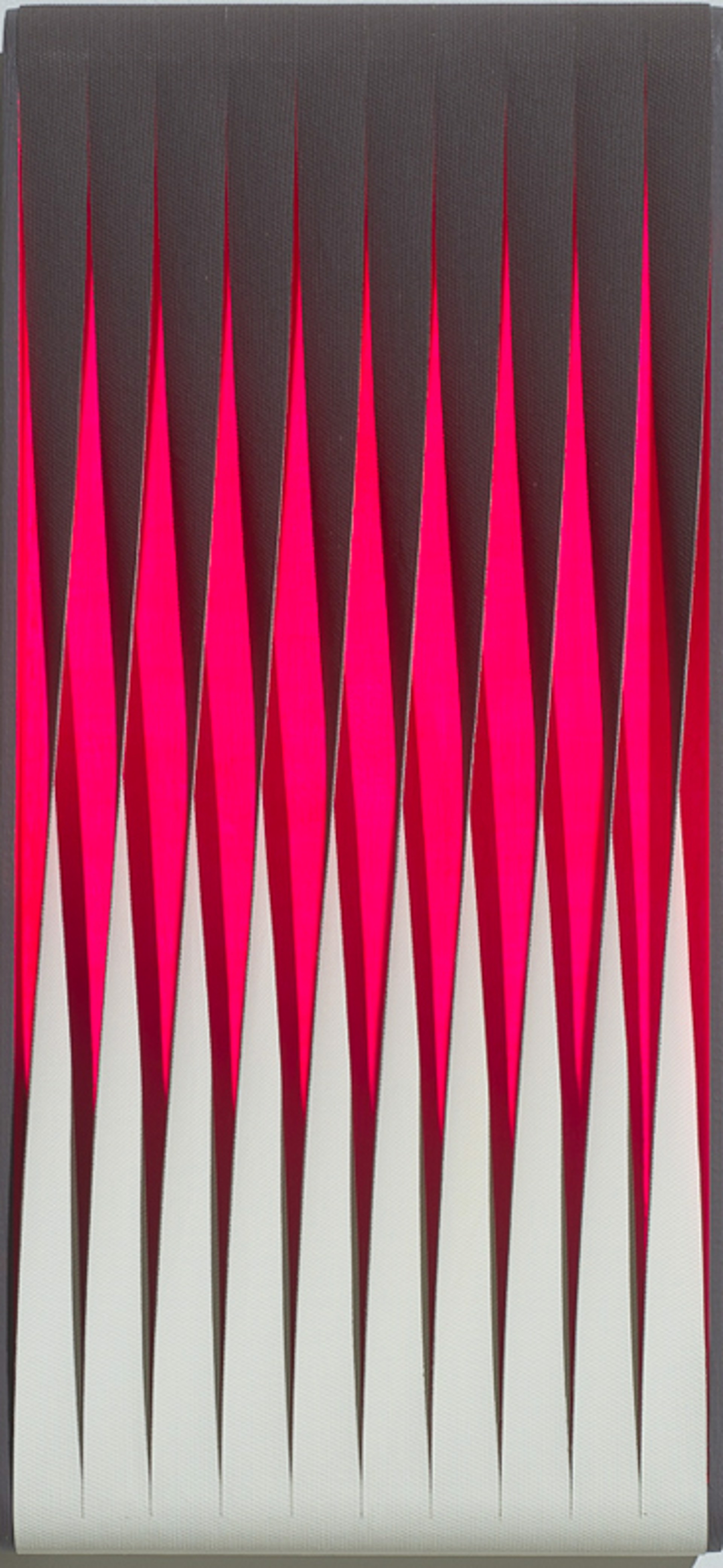 Pink Twist by Árpád Forgó