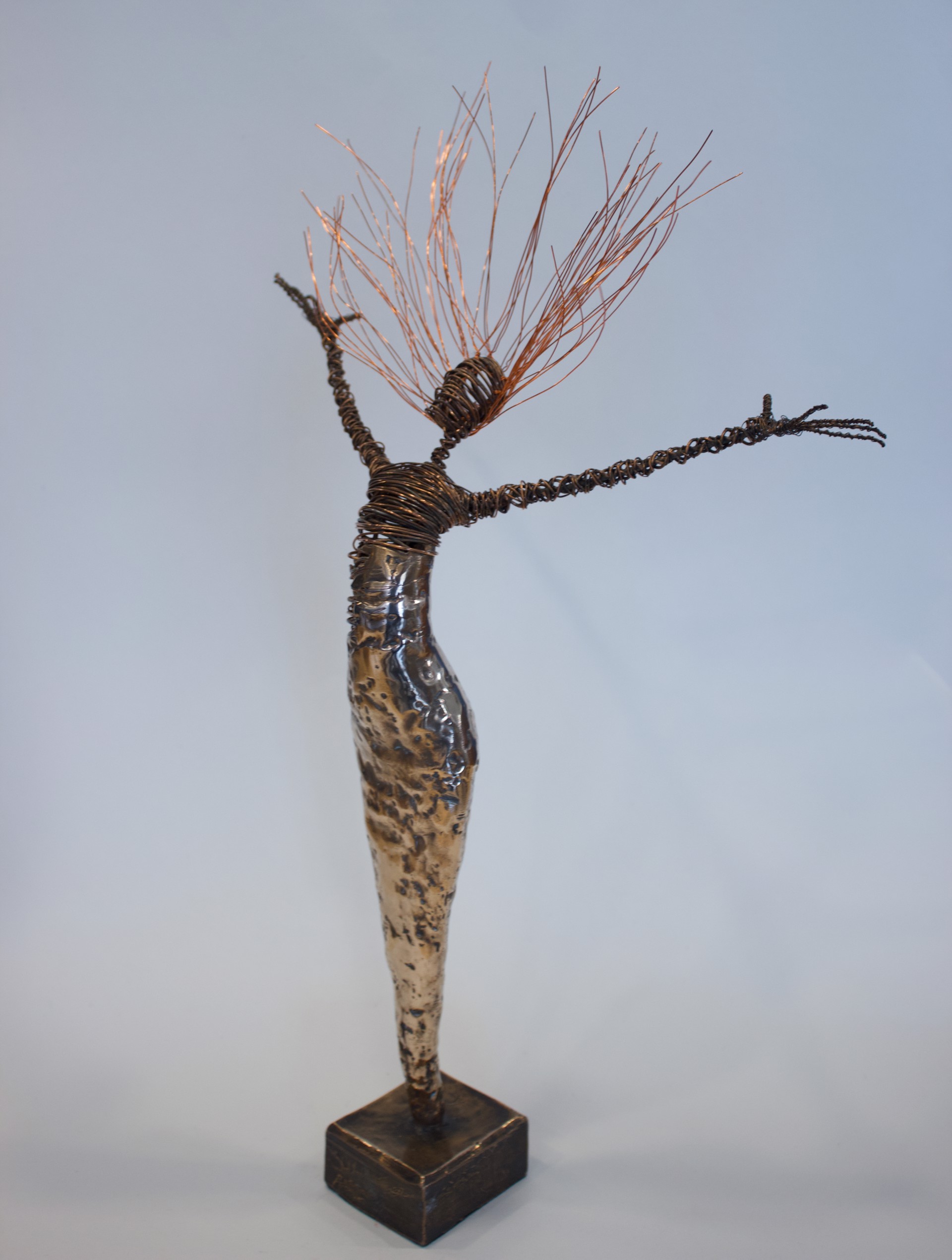 Bronze Arched Back by Rachel Ducker