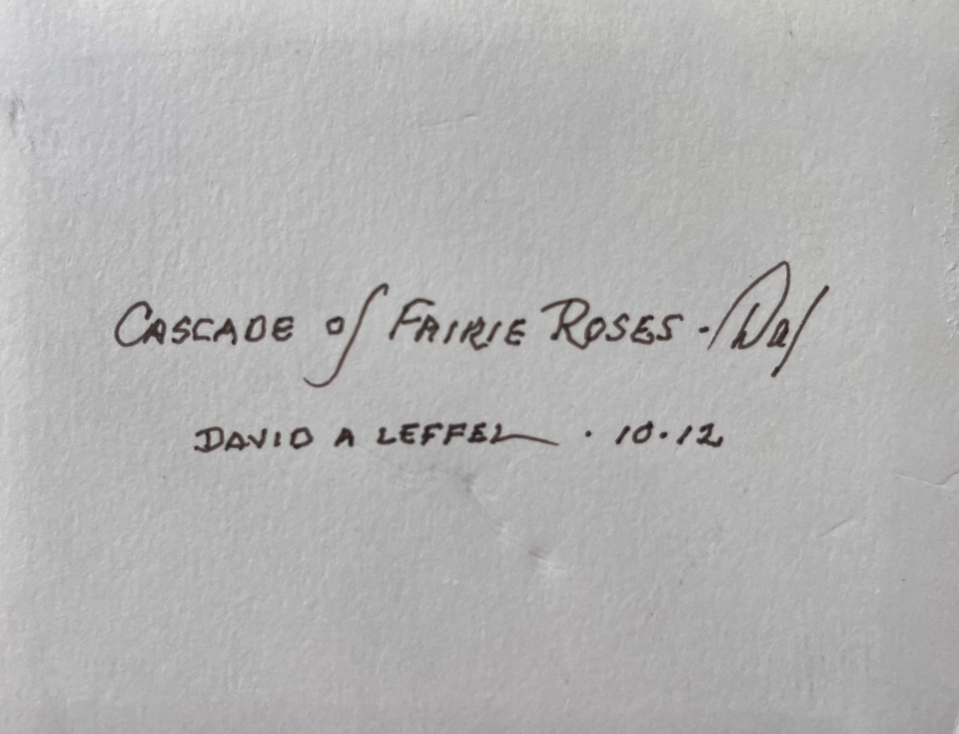 Cascade of Fairie Roses by David Leffel