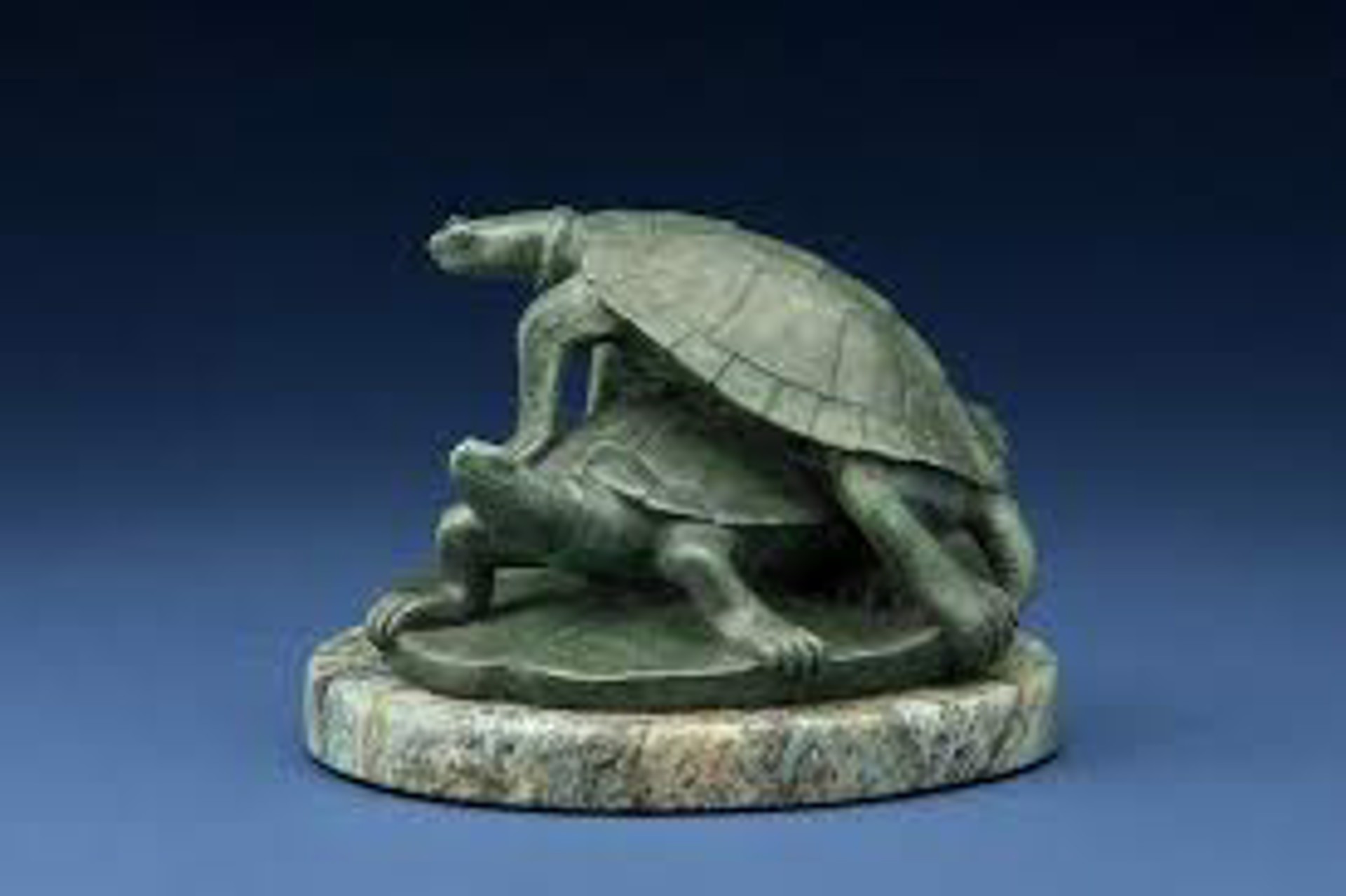 Turtle Pad by Tony Hochstetler