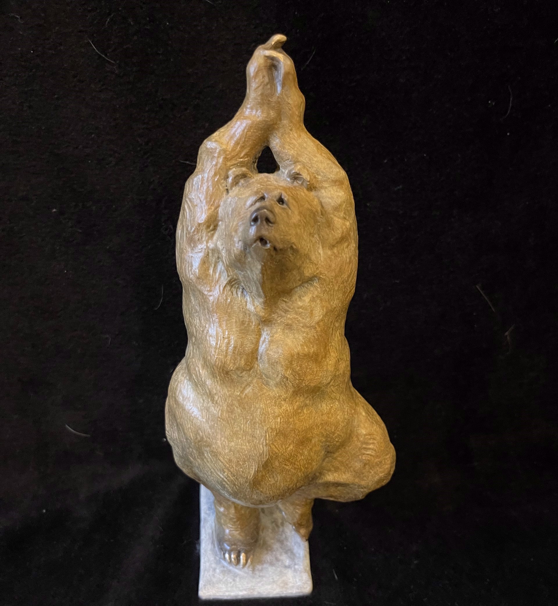 Yoga Bear (Tree Pose) (Edition of 200) by Walt Horton