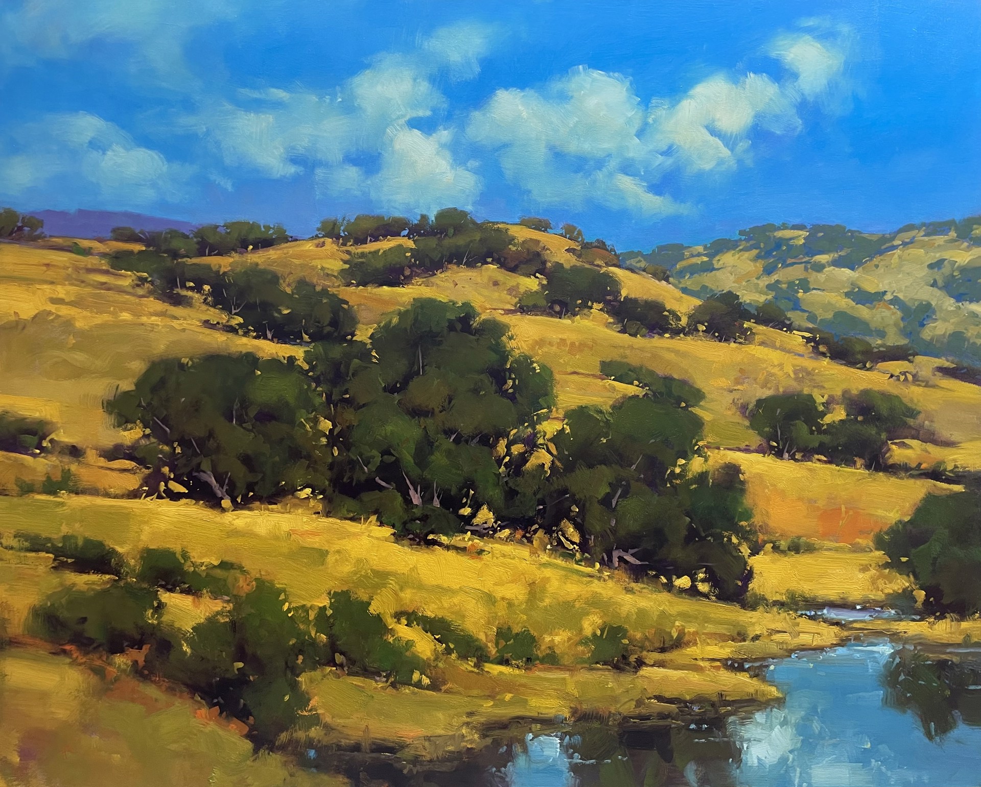 Paso Robles Oaks by Gregory Stocks