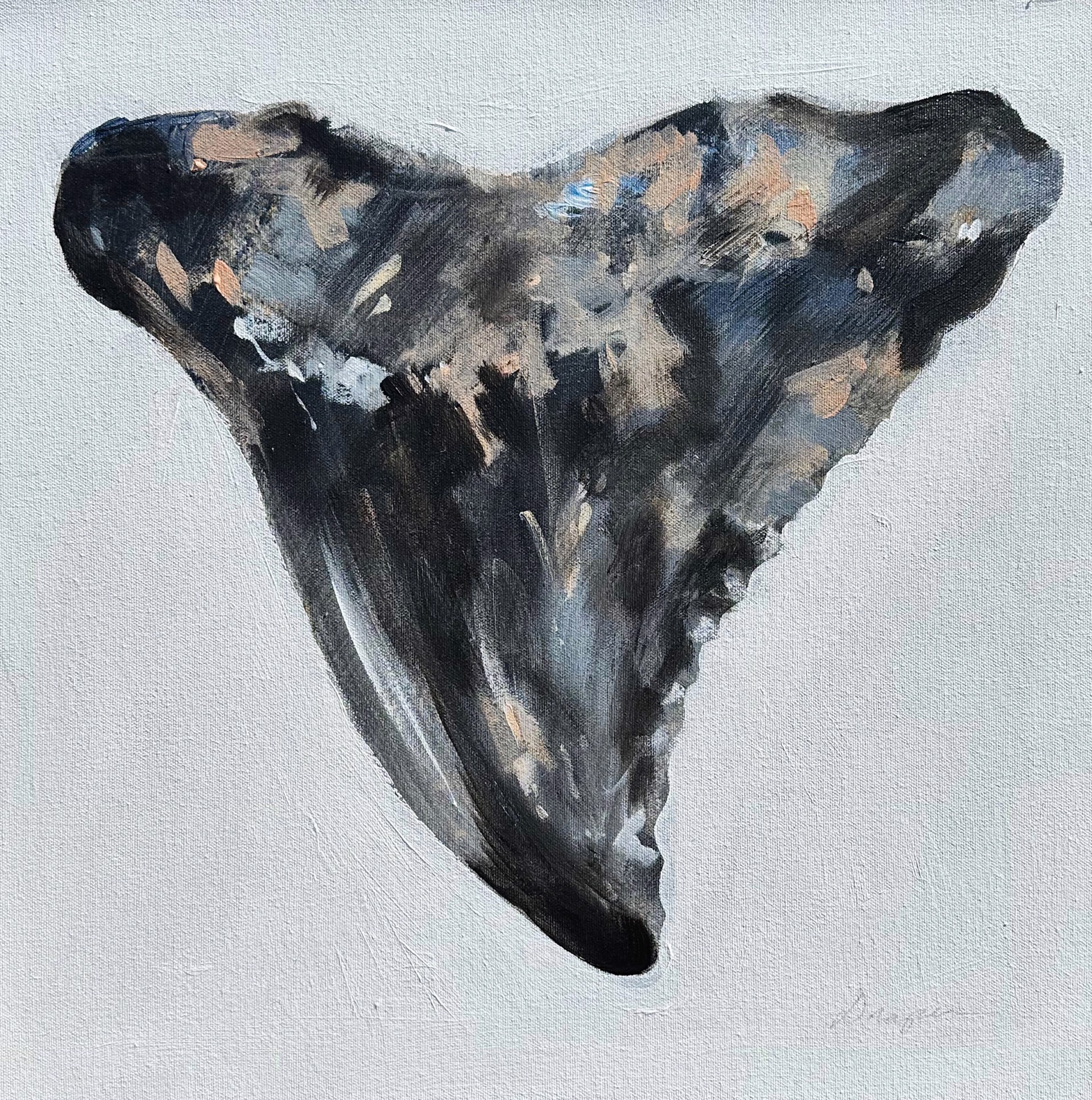 Shark Tooth No. 102 by Jim Draper