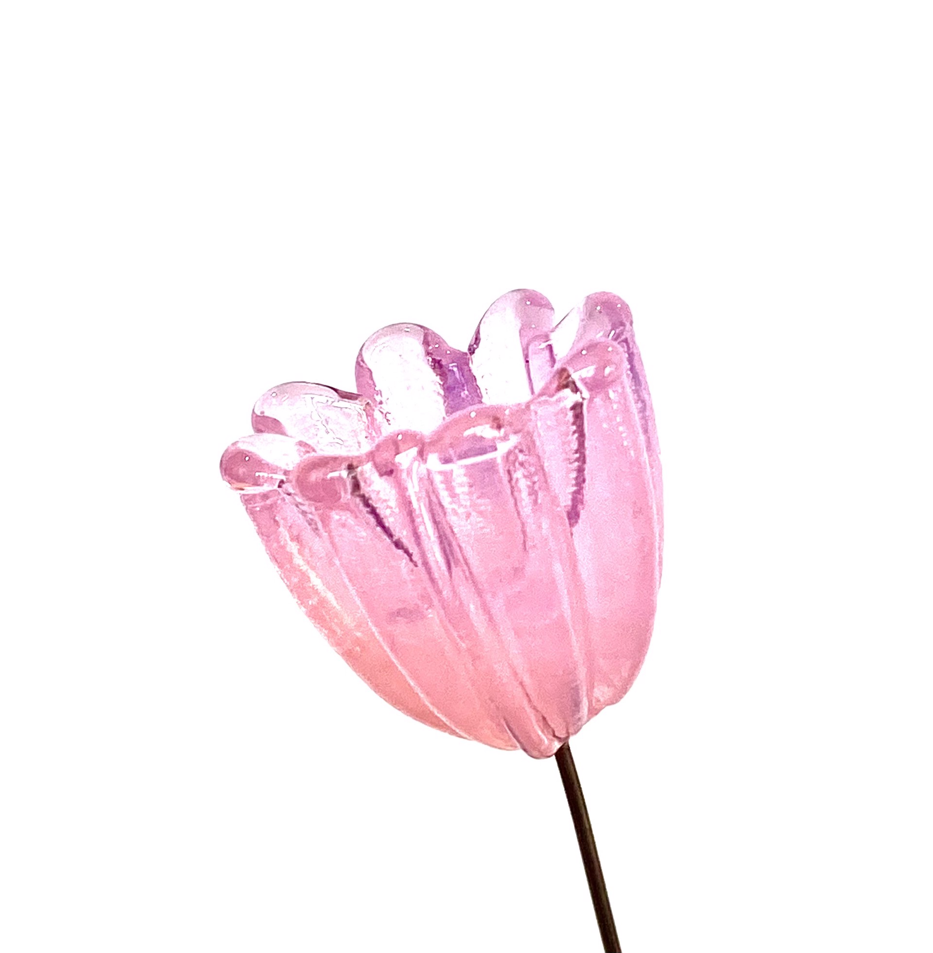 Glass Translucent Pink Bud Flower by Emelie Hebert